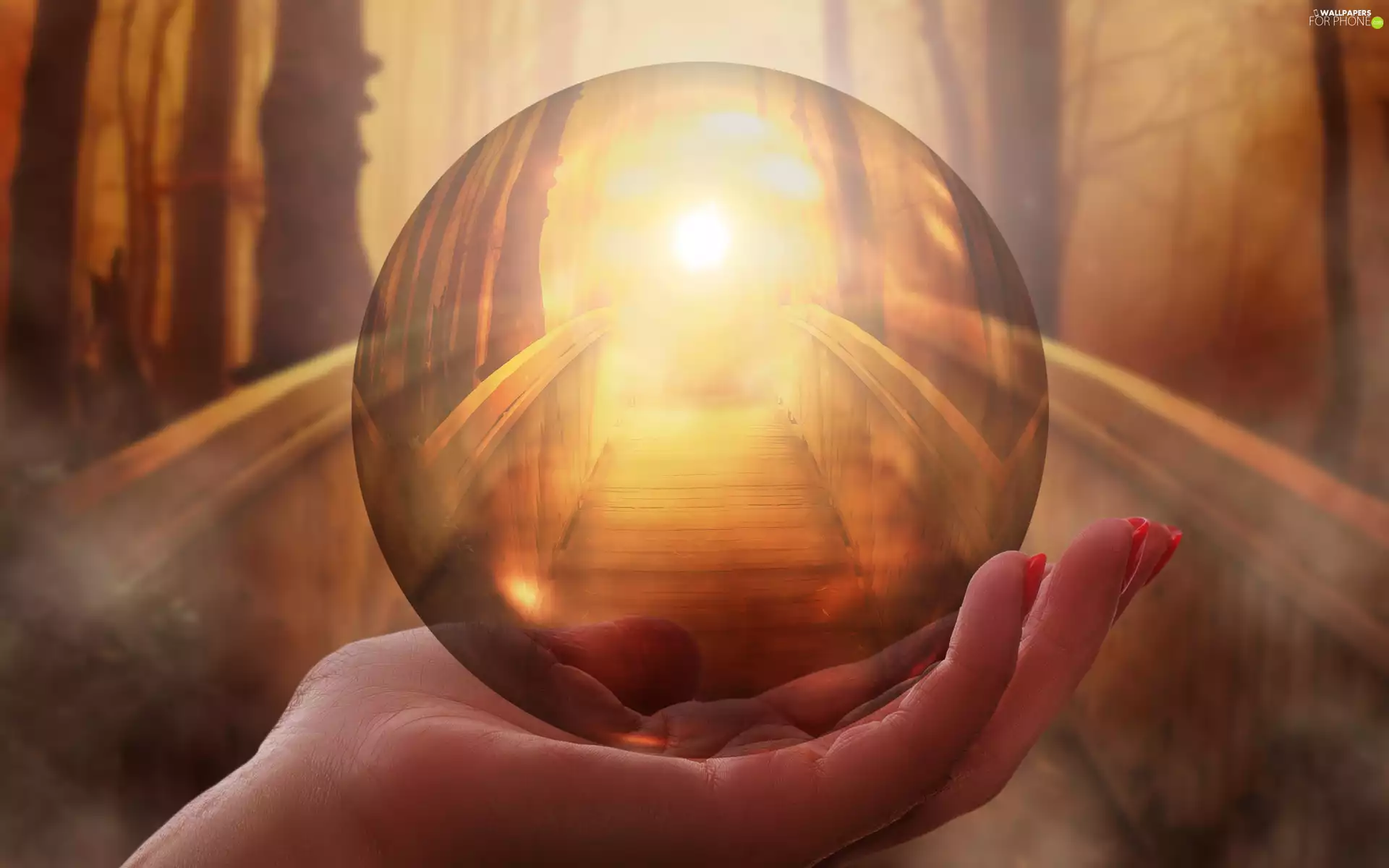 bridge, hand, viewes, trees, sun, sunny, luminosity, Orb, clear, flash, ligh