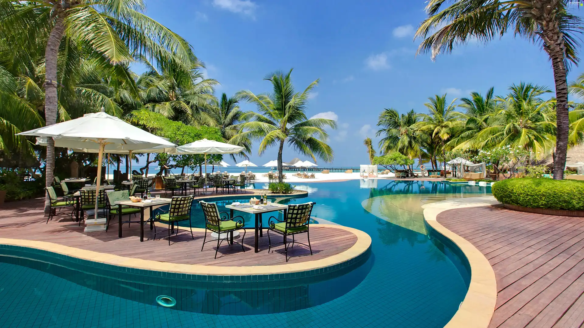 Hotel hall, spa, Maldives, Pool
