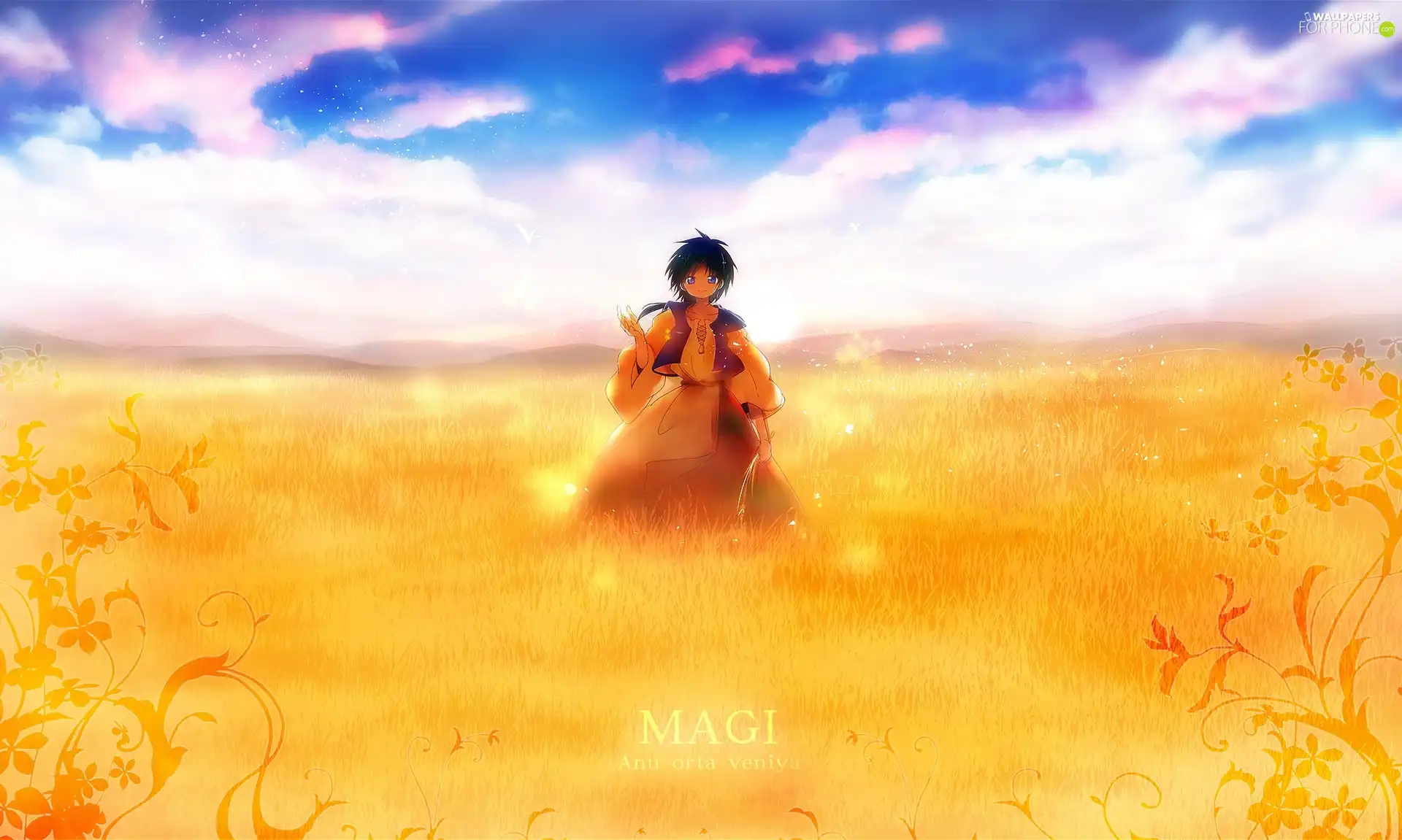 Magi, Anime, Manga, Aladdin