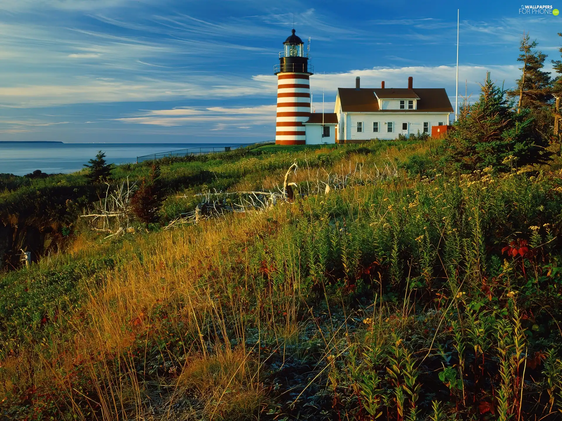 maritime, sea, Lighthouse