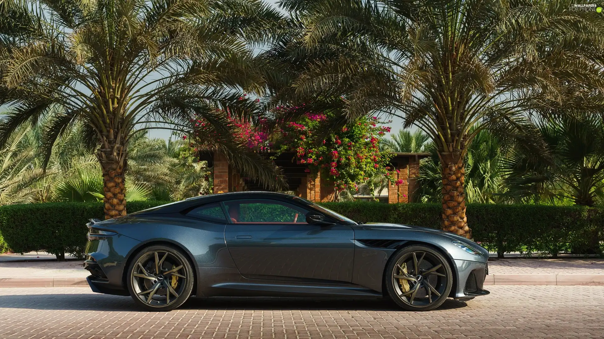Aston Martin, Superleggera, Palms, DBS
