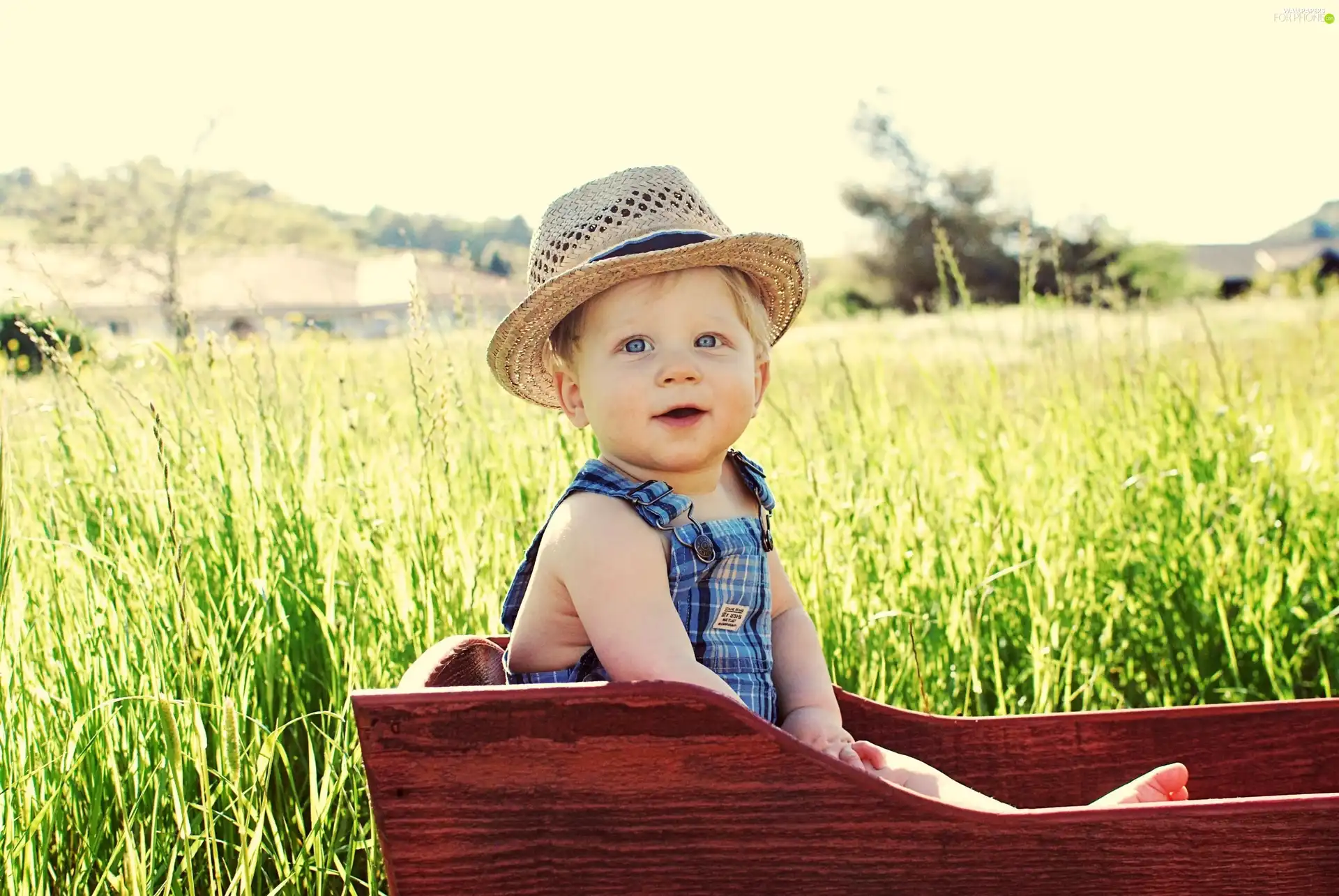 boy, Hat, Meadow, trolley