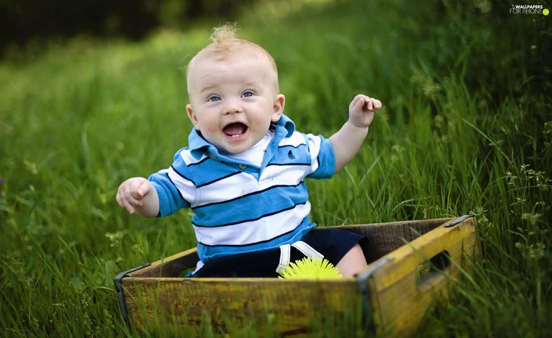 Meadow, Kid, boy