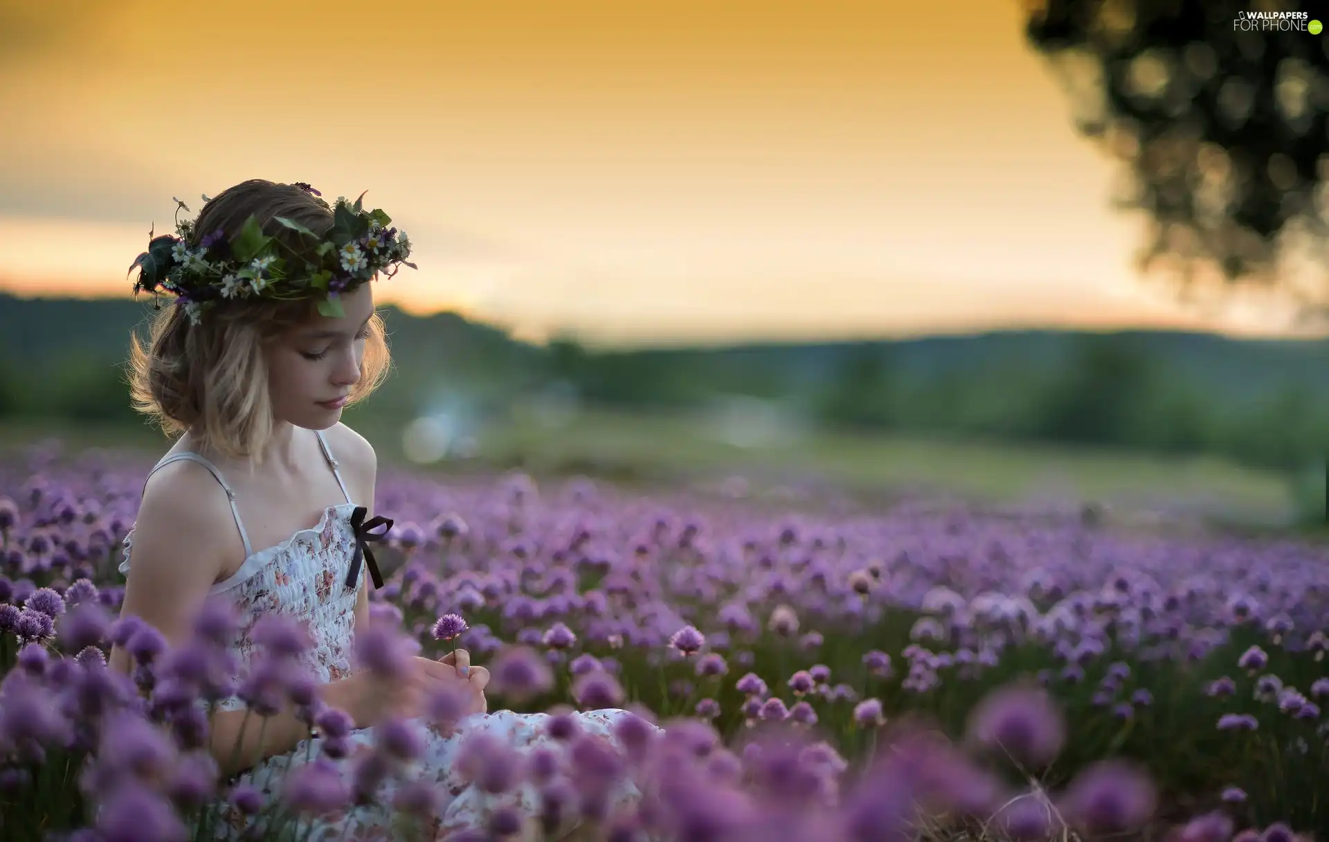 Meadow, Flowers, girl, wreath, Blonde