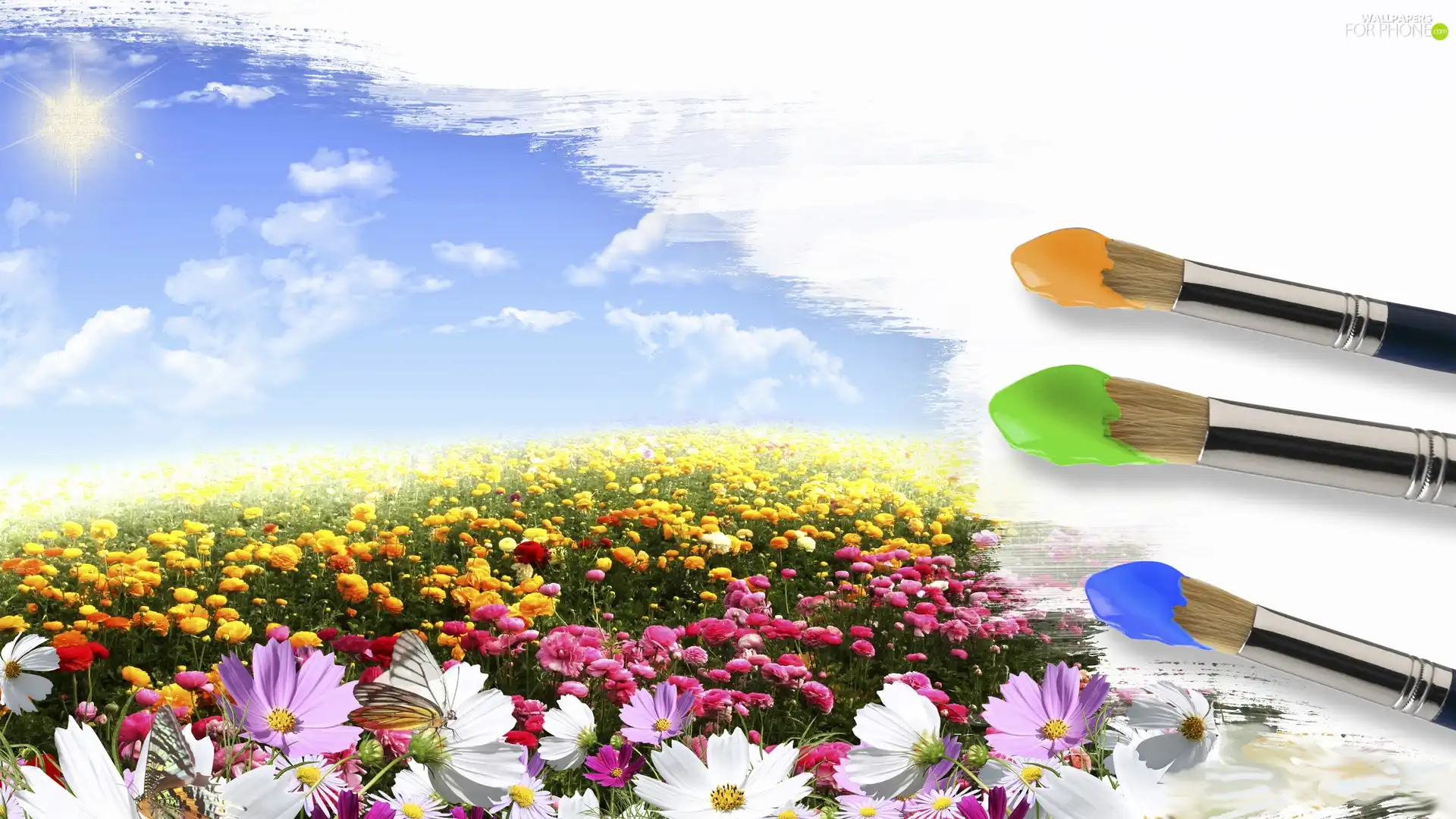Meadow, Flowers, Sky, clouds, Brushes