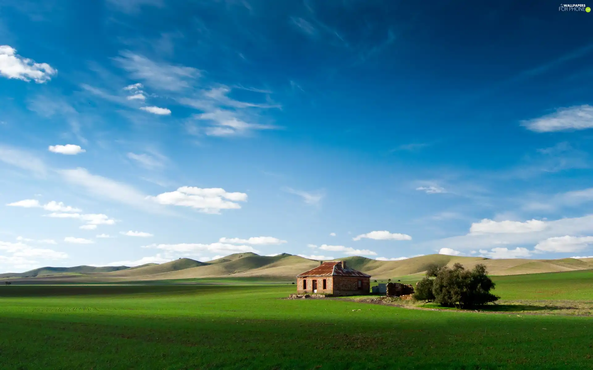 Meadow, Cottage, Hill