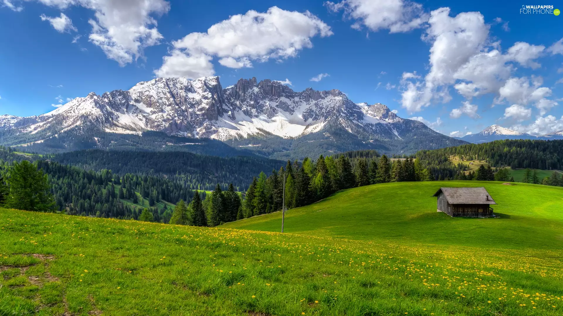 viewes, forest, Home, clouds, wooden, trees, Mountains, Meadow