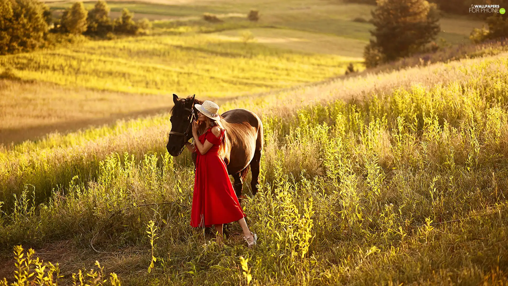 dress, Women, Horse, Meadow, Hat, red hot