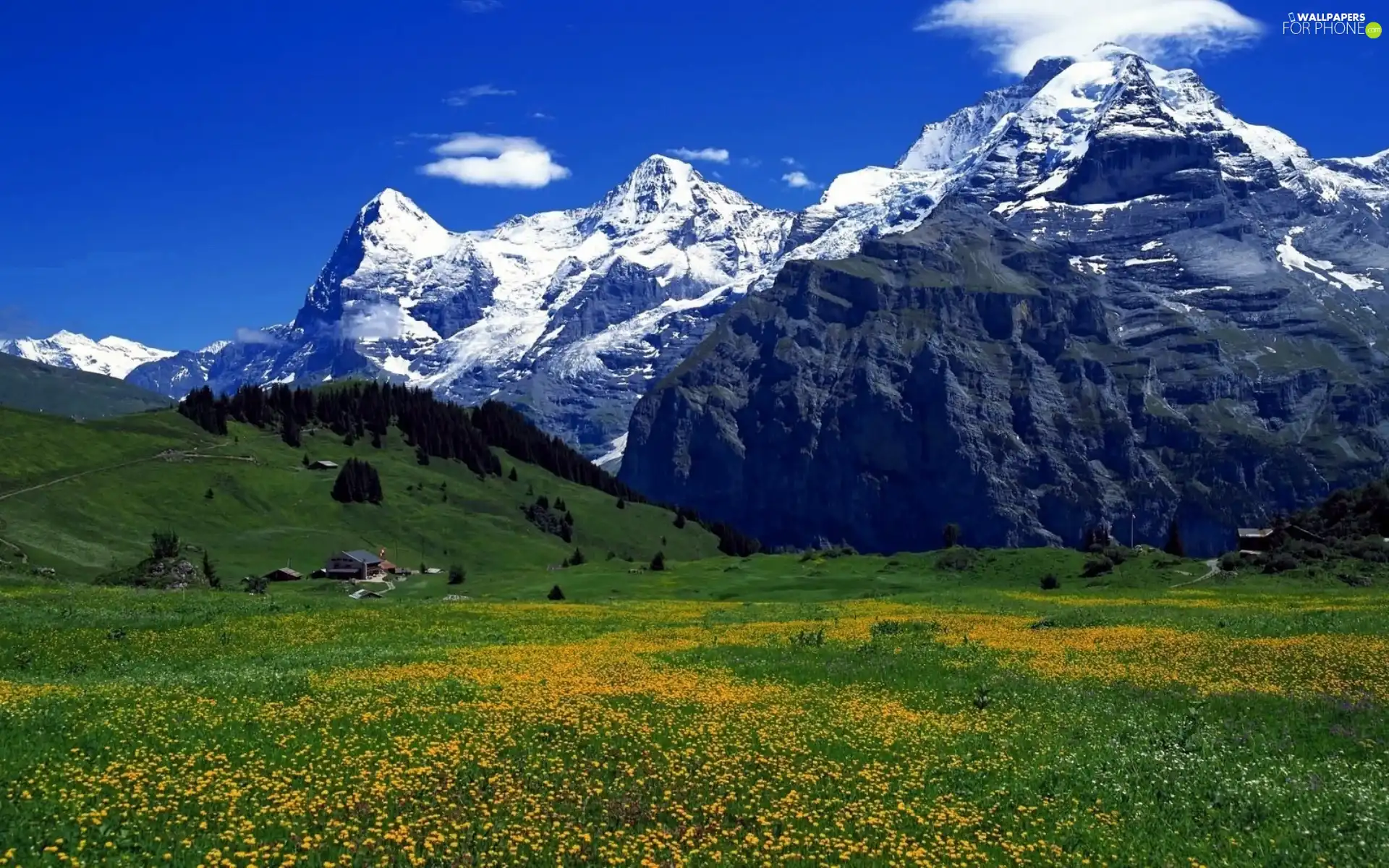 Meadow, Mountains, Houses