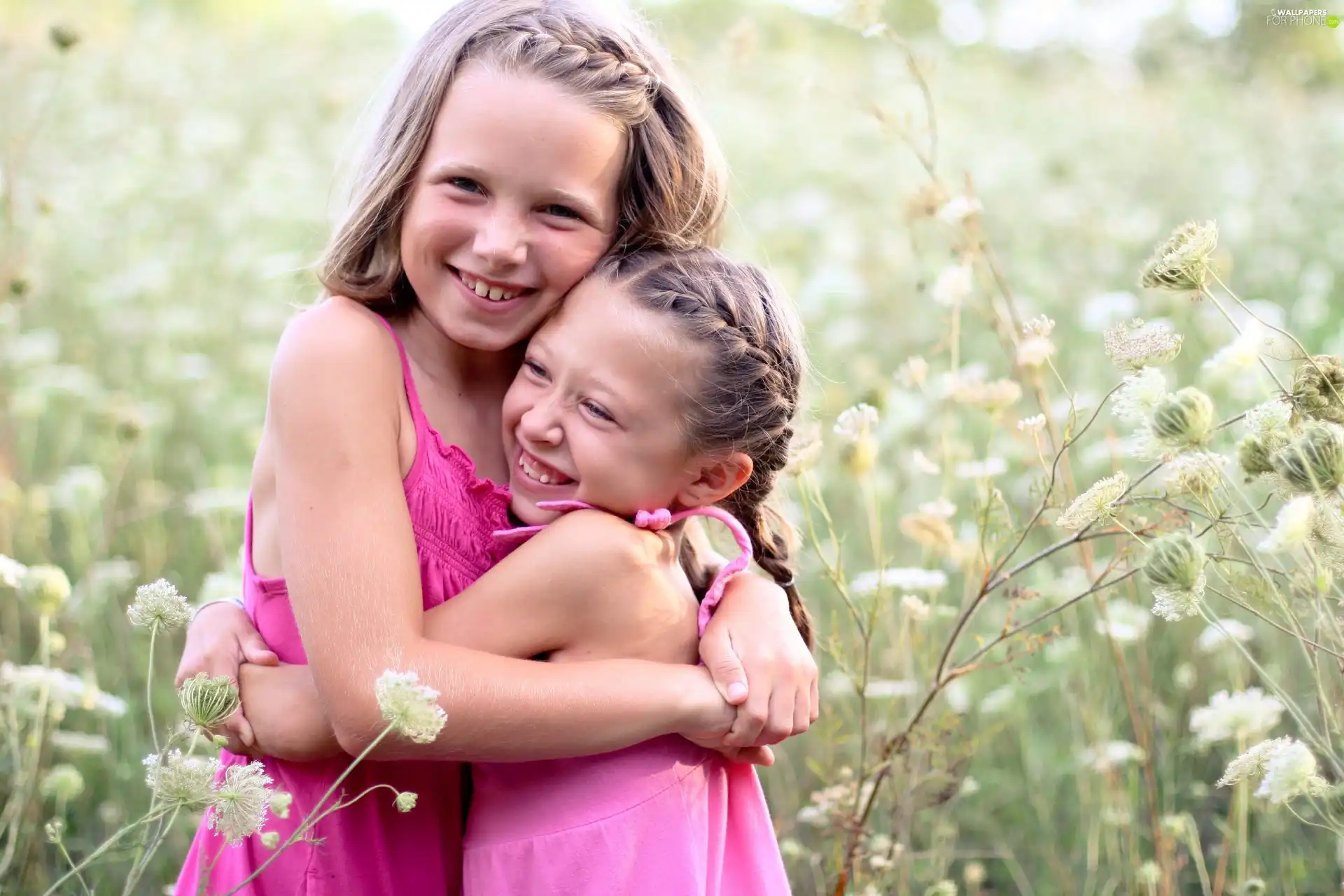 Two, girls, Meadow, little doggies