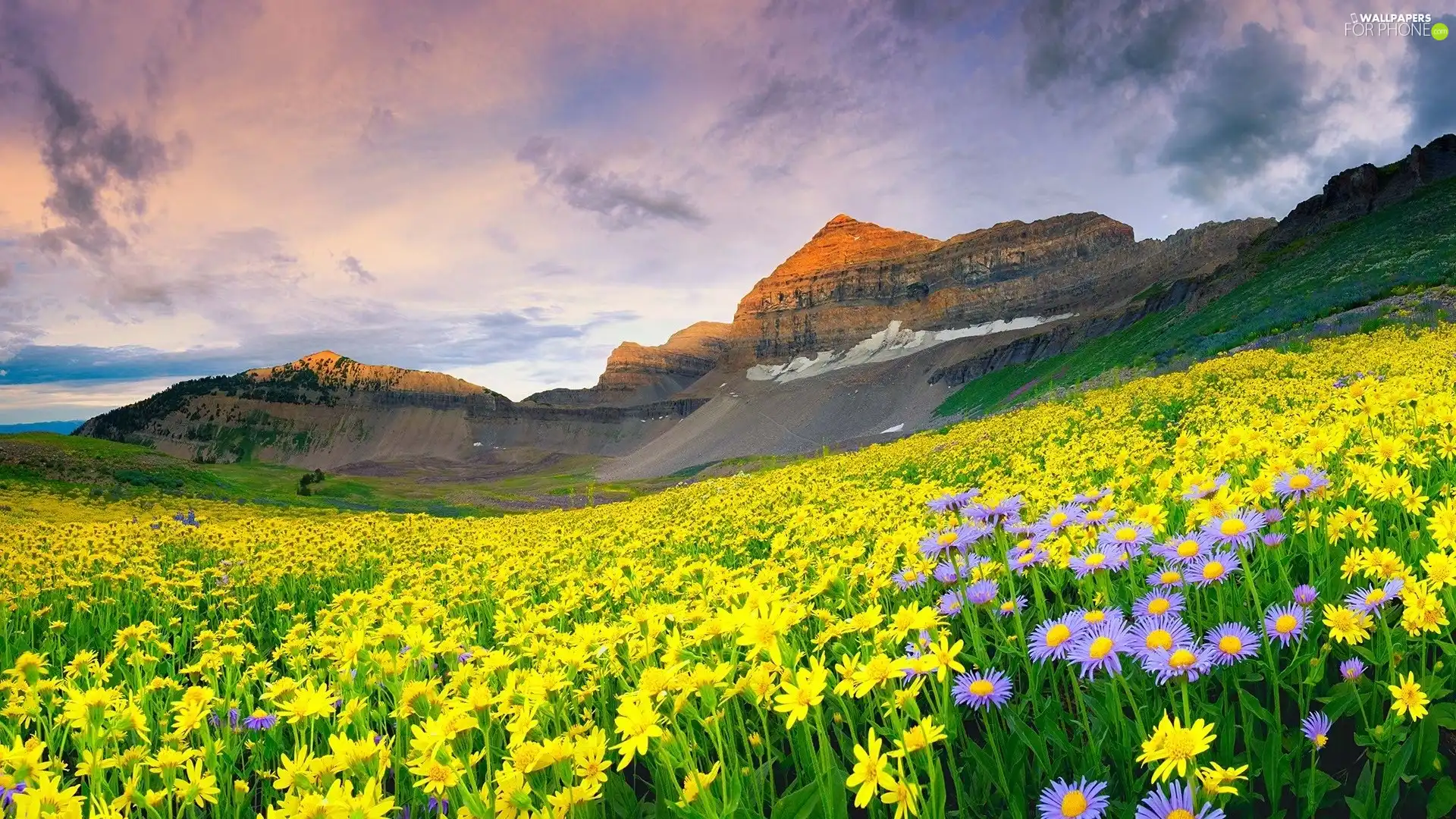 Meadow, Spring, Mountains