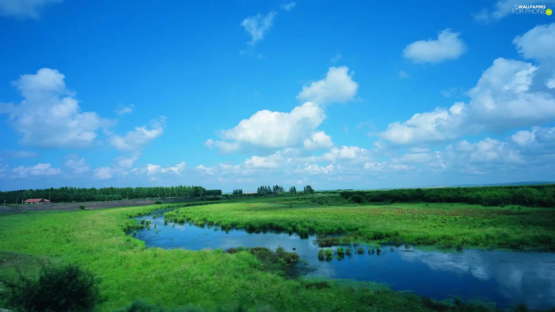 River, Meadow