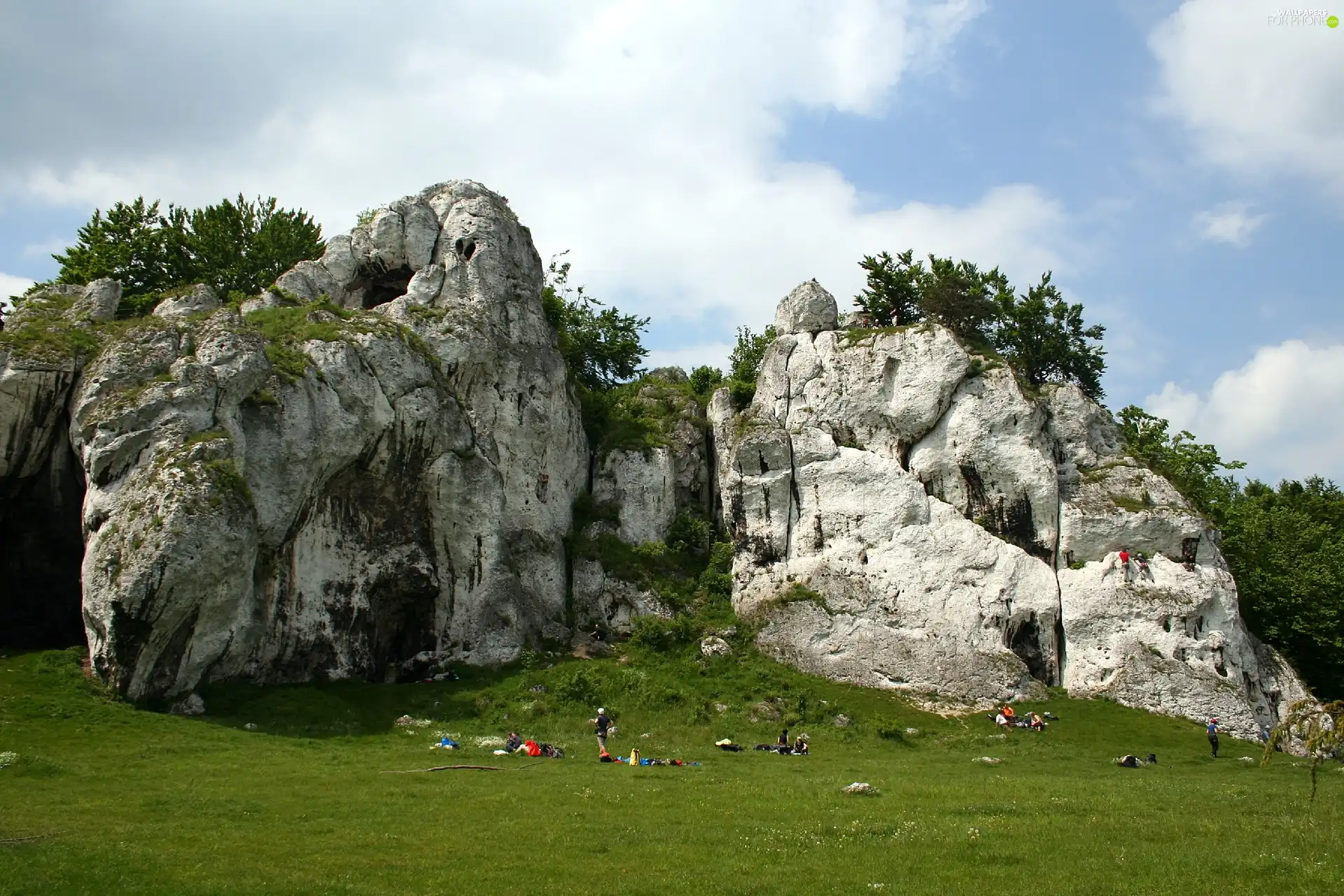 rocks, Meadow