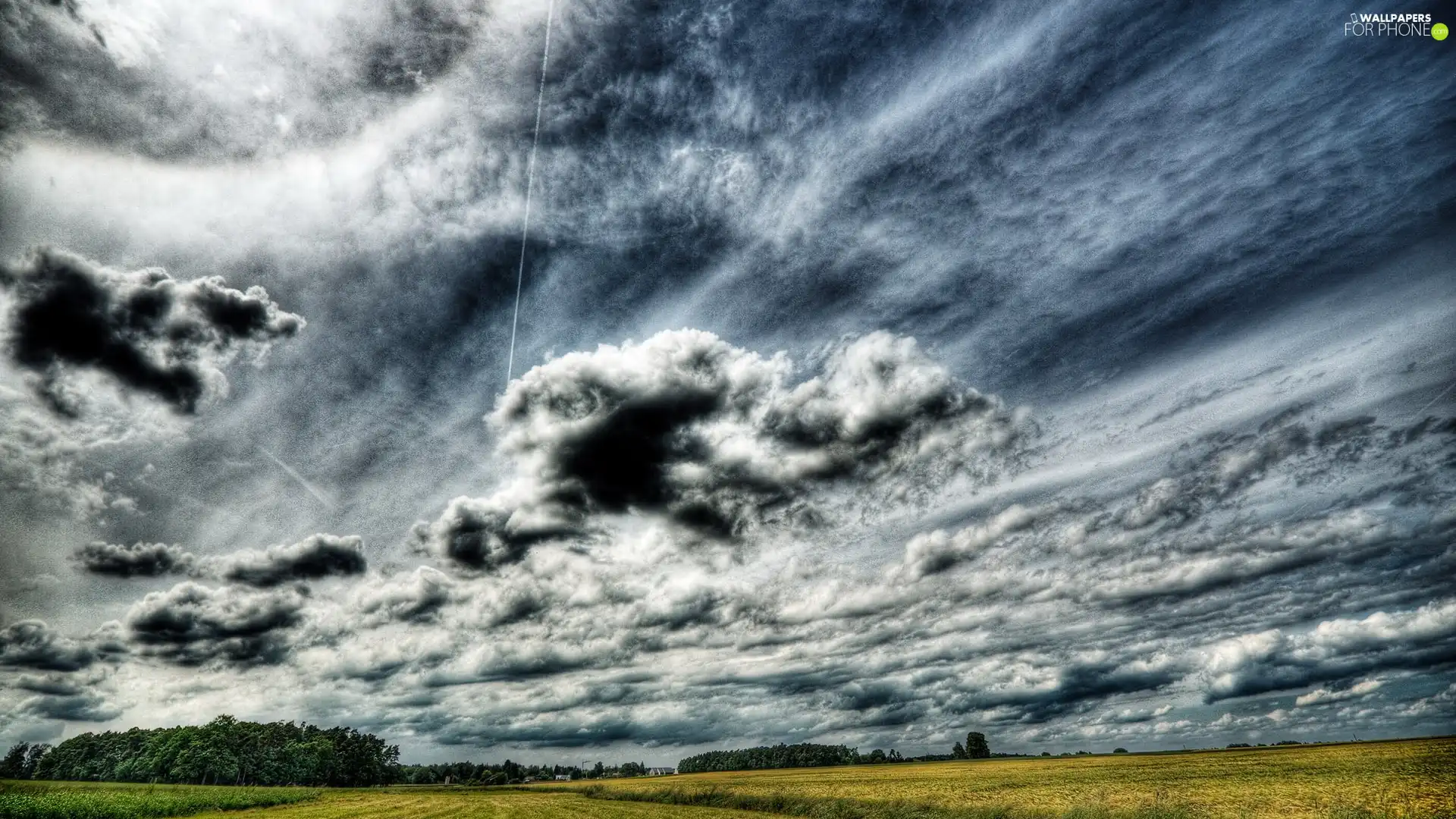 Meadow, Contracted, Sky