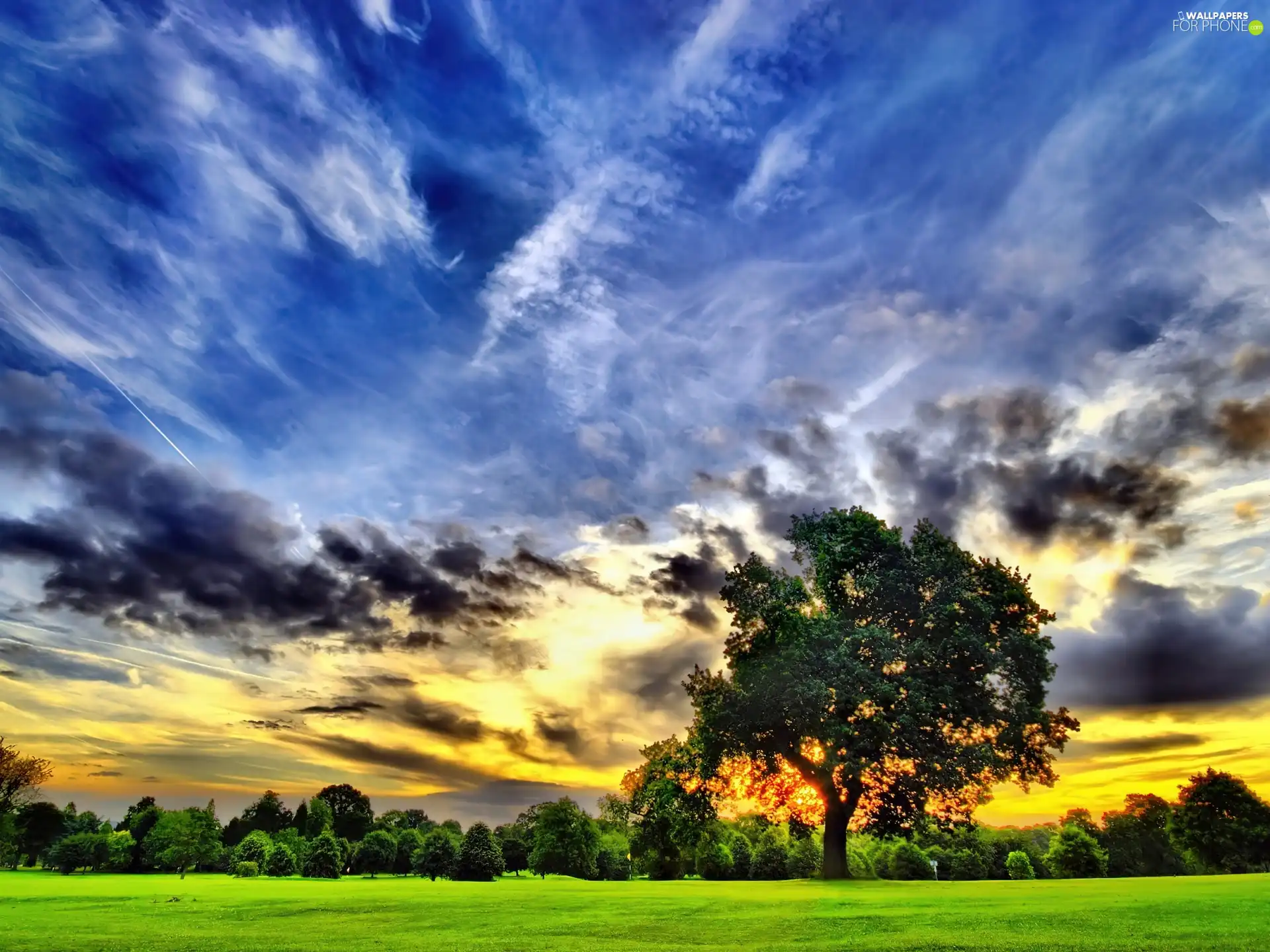 Sky, trees, Meadow, clouds