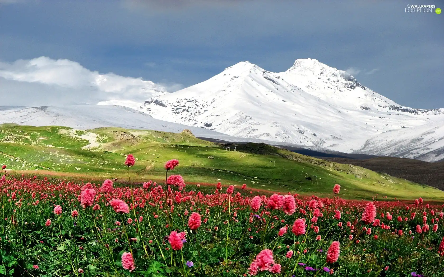 Meadow, Mountains, snow