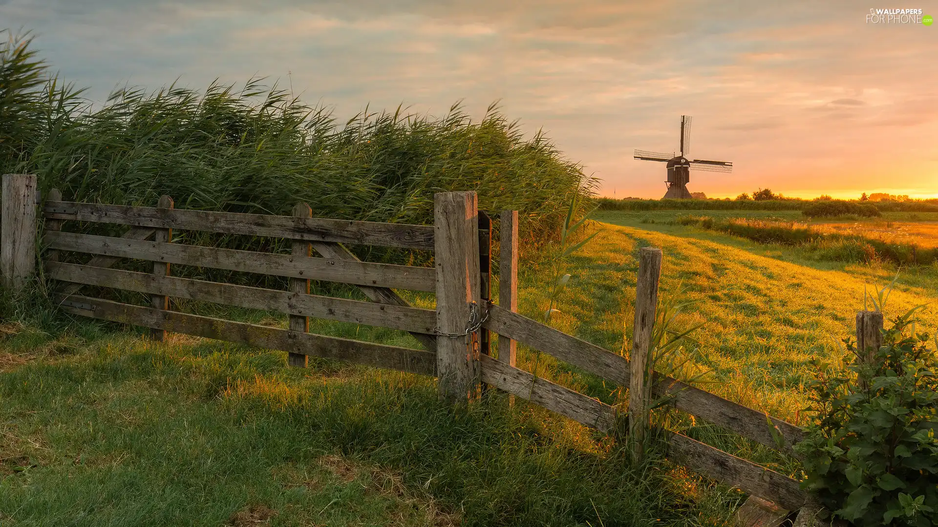 Plants, fence, Windmill, Meadow, Great Sunsets