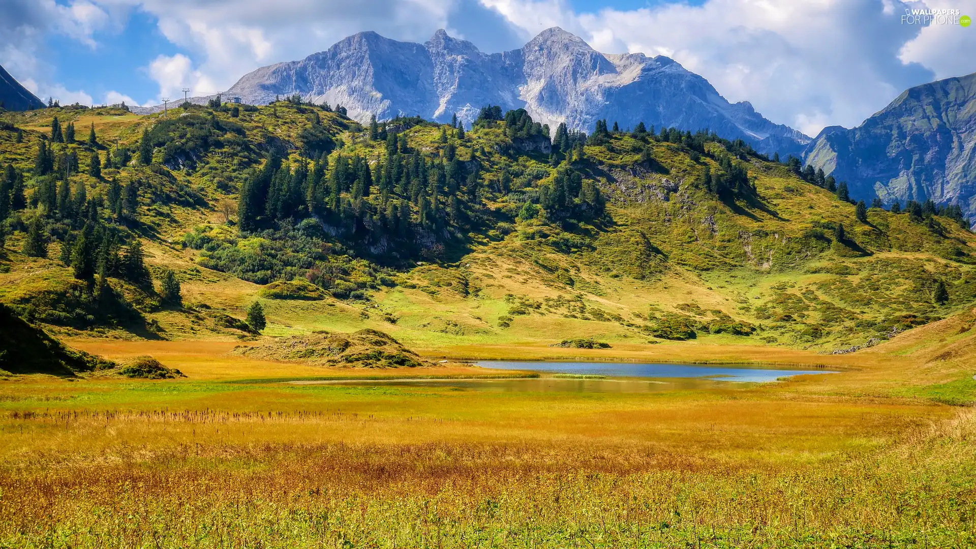 Alps, Mountains, lake, car in the meadow, viewes, Tirol, Austria, trees