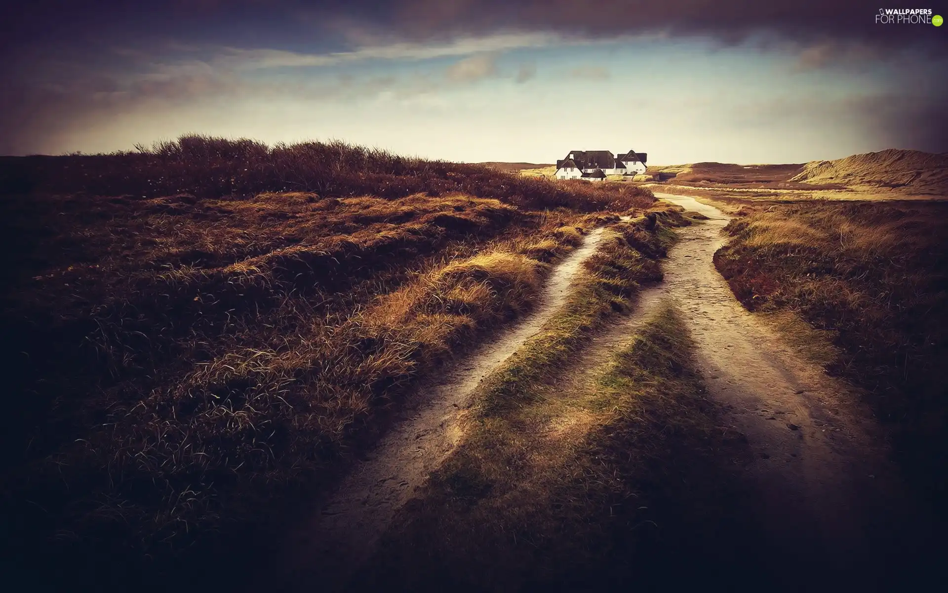 Meadow, house, Way