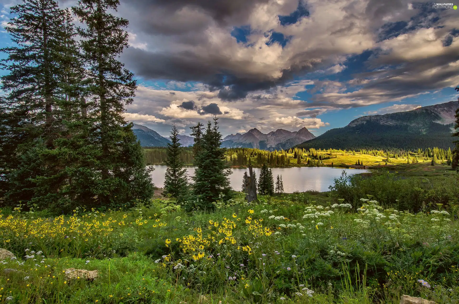 Meadow, Wildflowers, Mountains, lake, clouds