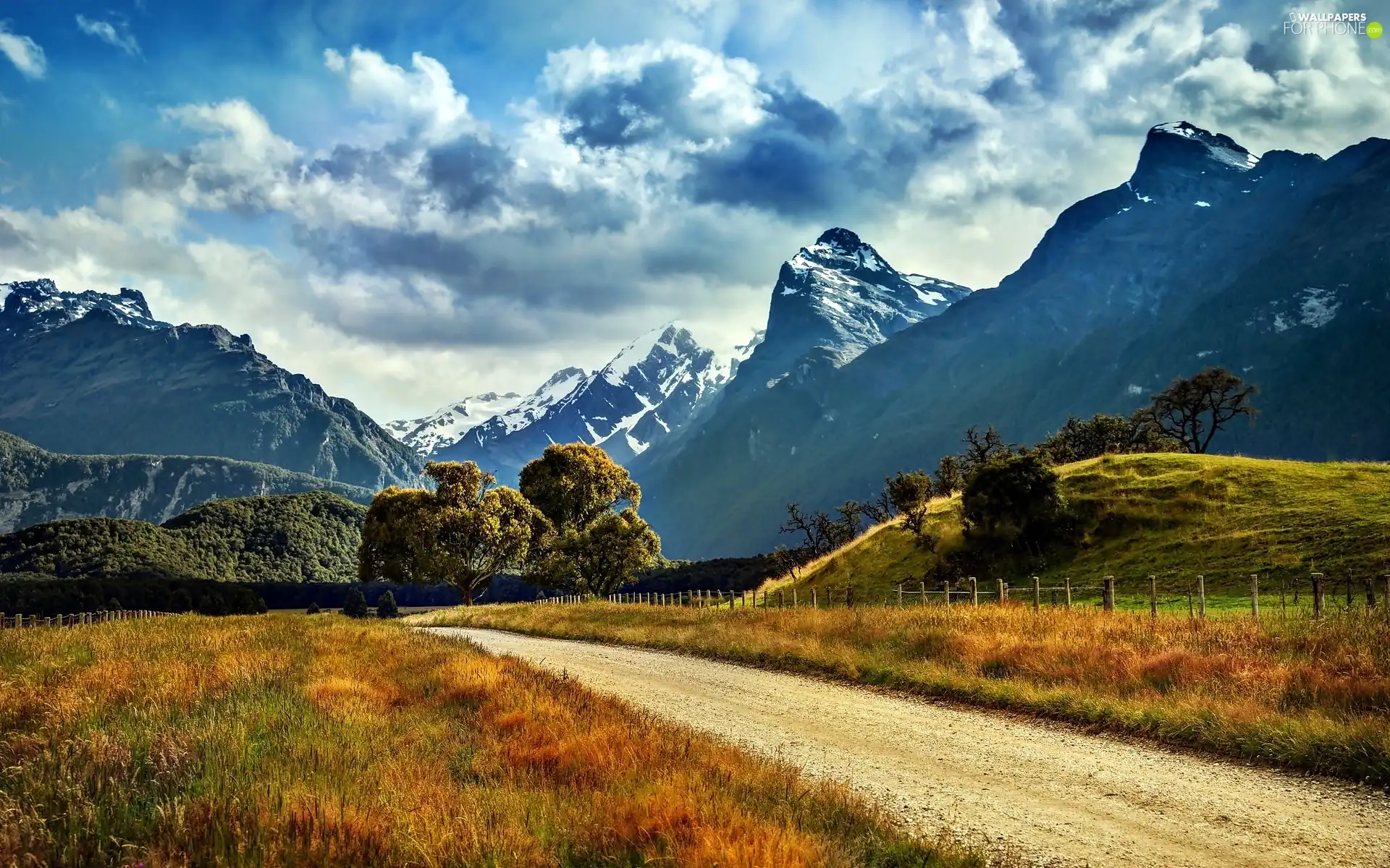 medows, Way, mountain, forest, peaks