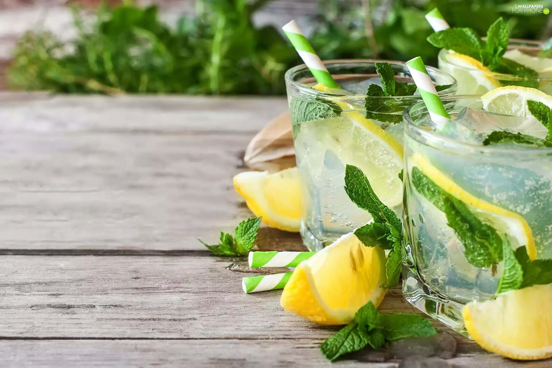 leaves, mint, Glass, Lemon, drinks
