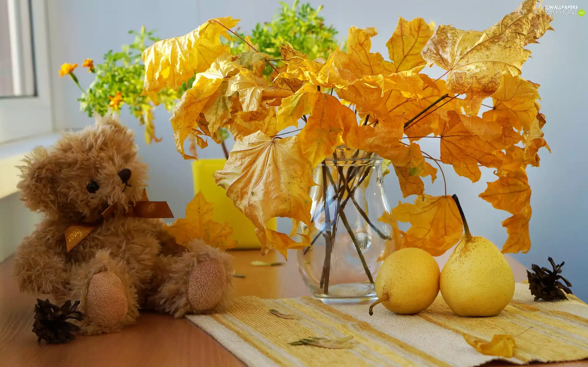 Leaf, bouquet, maple, glass, teddy bear, cones, truck concrete mixer, Plush, Vase
