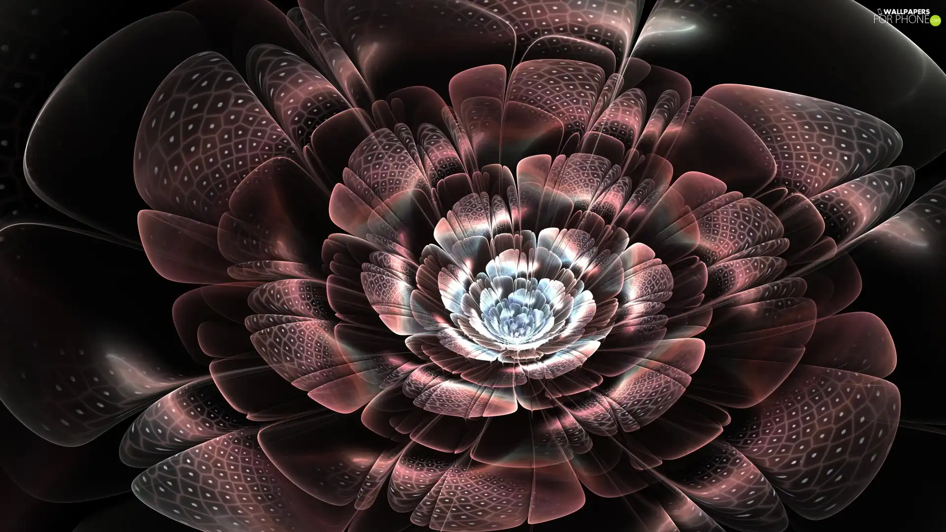 Brown, model, Fraktal, Colourfull Flowers