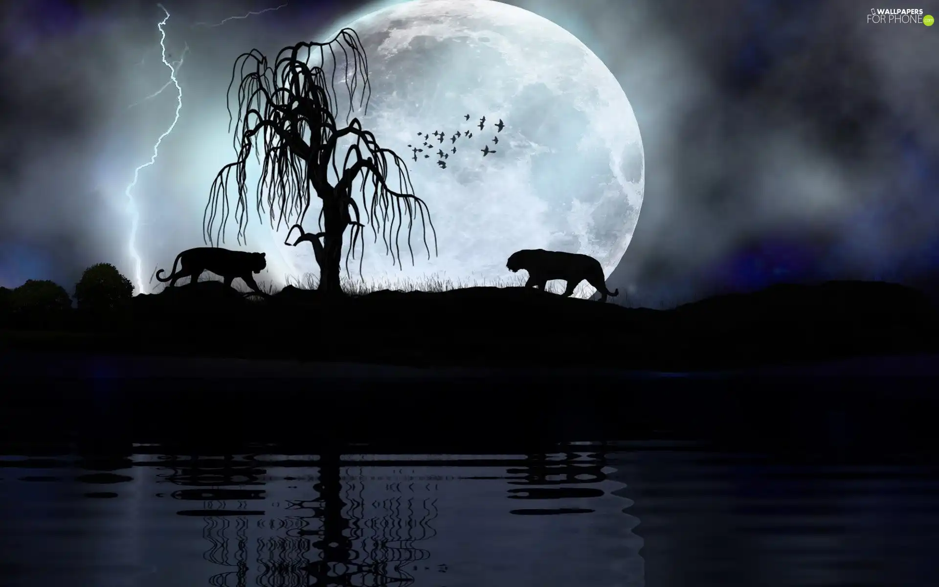 tigress, Night, moon, trees