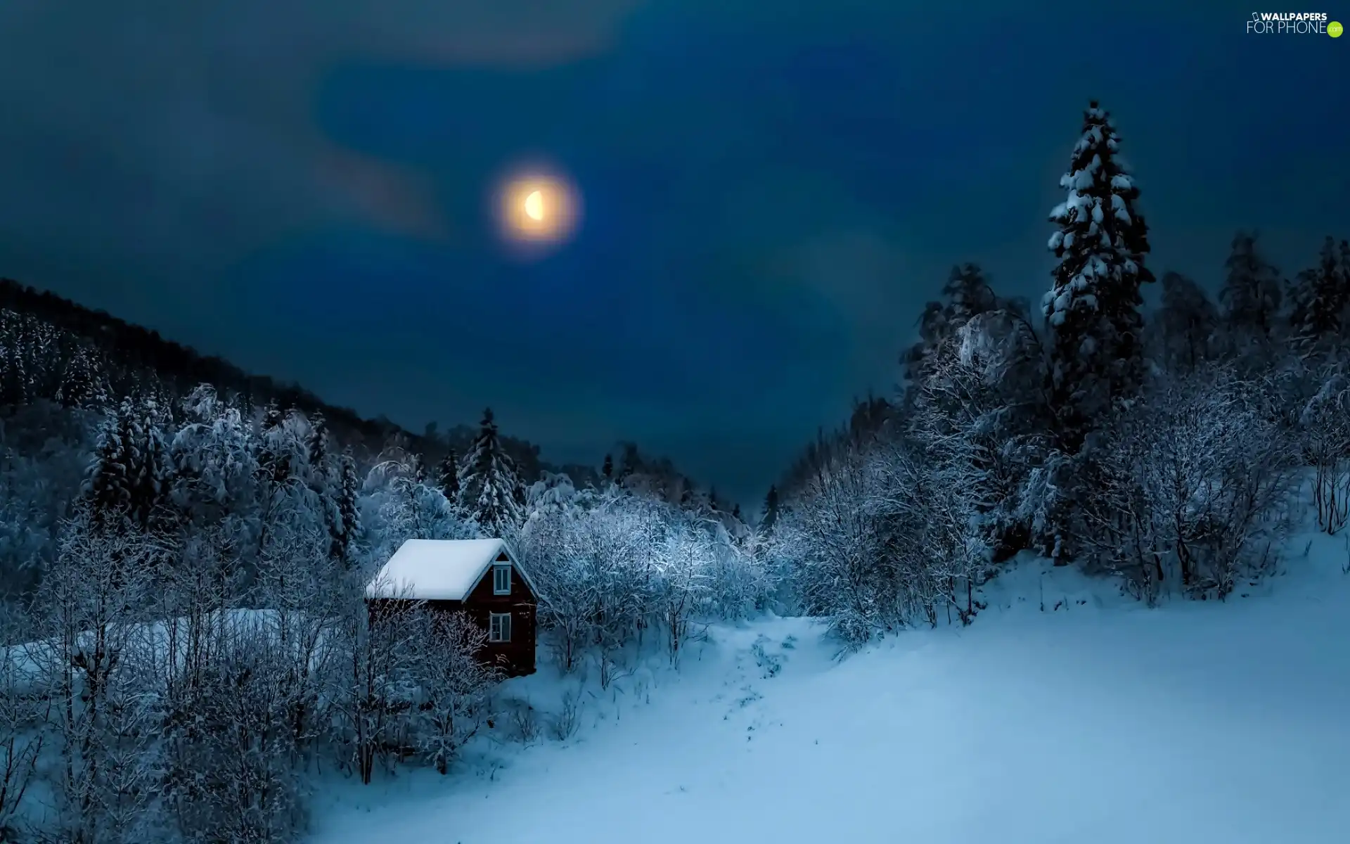 winter, Home, moon, forest