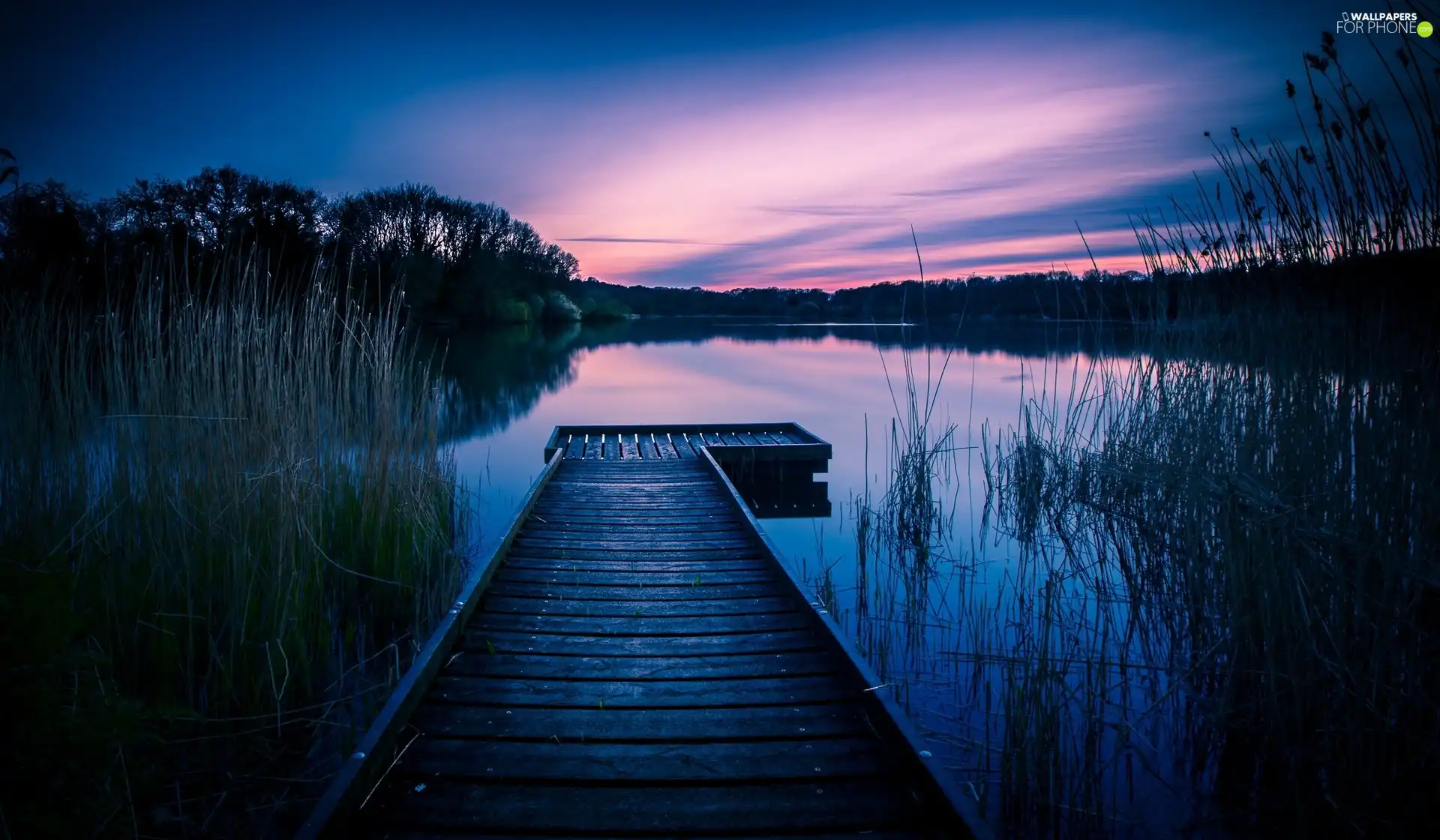 lake, England, morning, dawn, Platform, Wiltshire