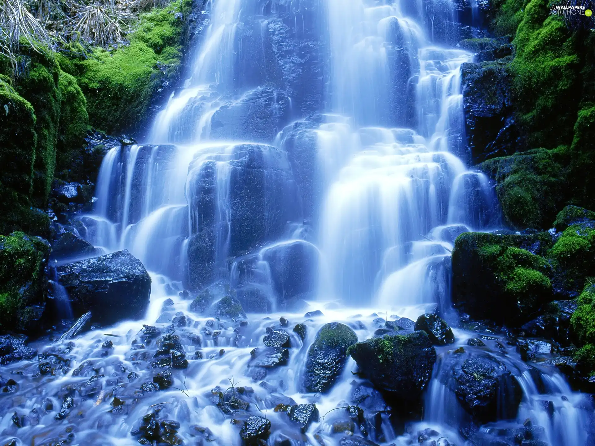Moss, waterfall, Stones