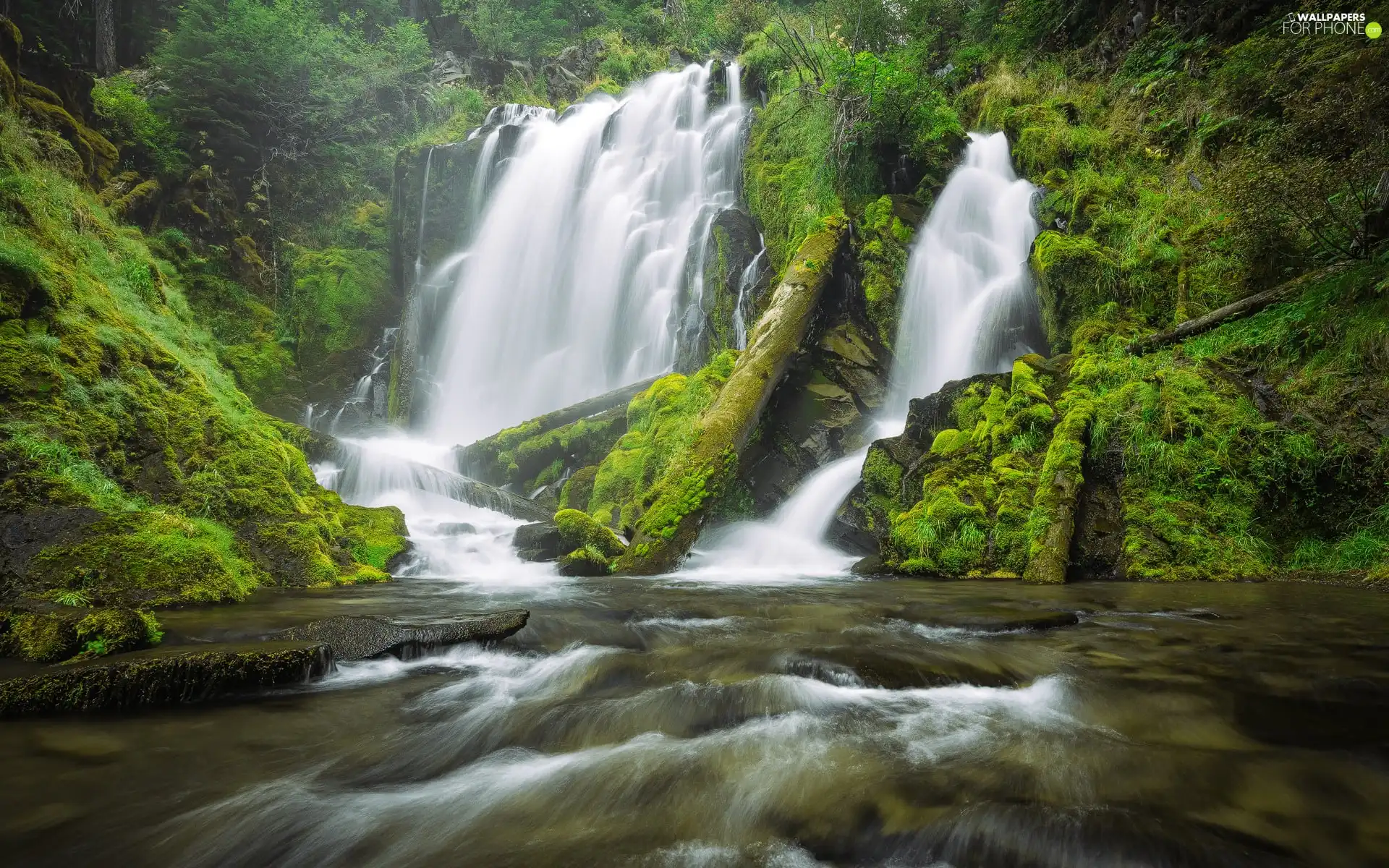 forest, trees, VEGETATION, viewes, rocks, waterfall, River, mossy