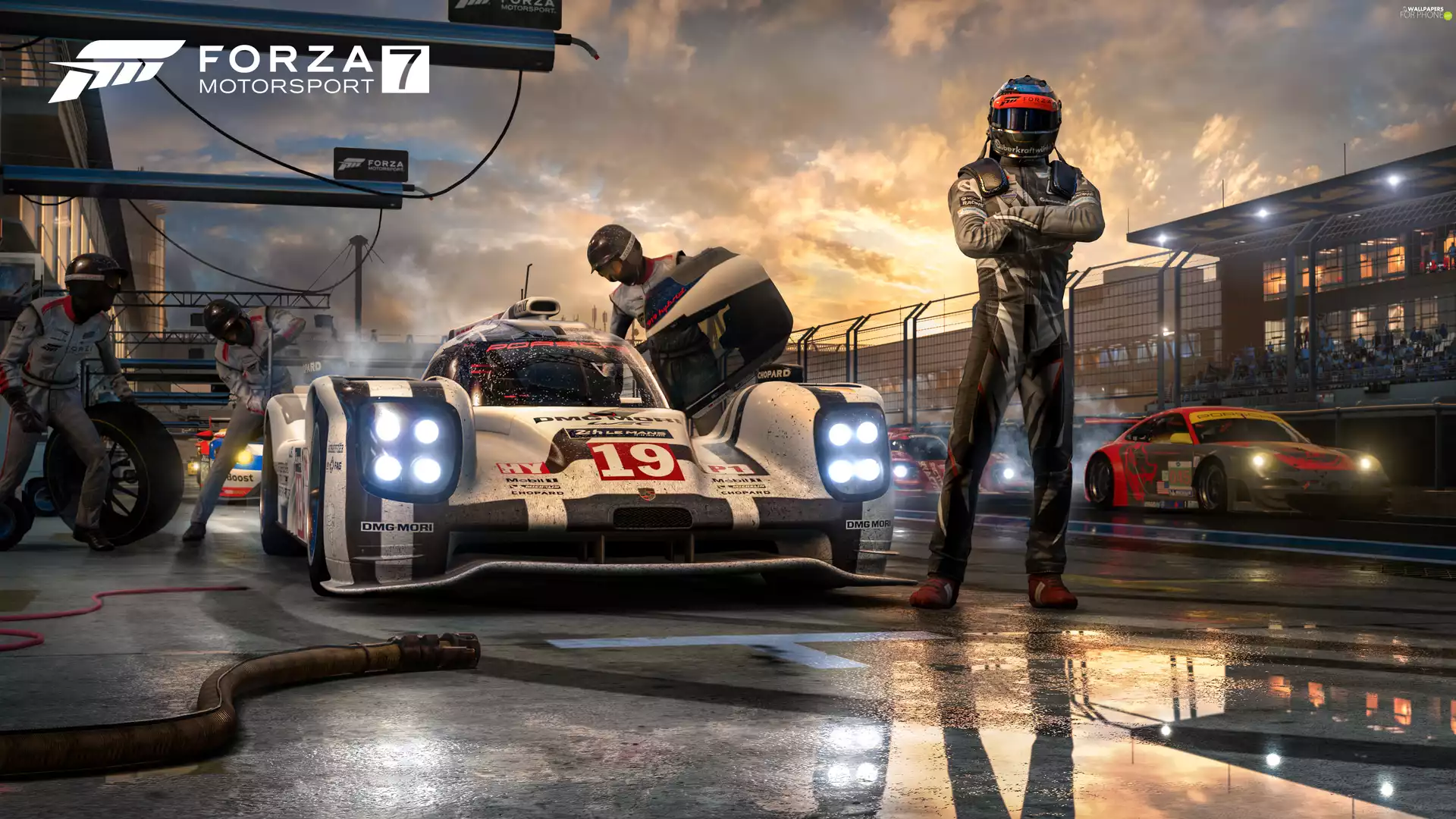 race, players, Forza Motorsport 7, cars, game