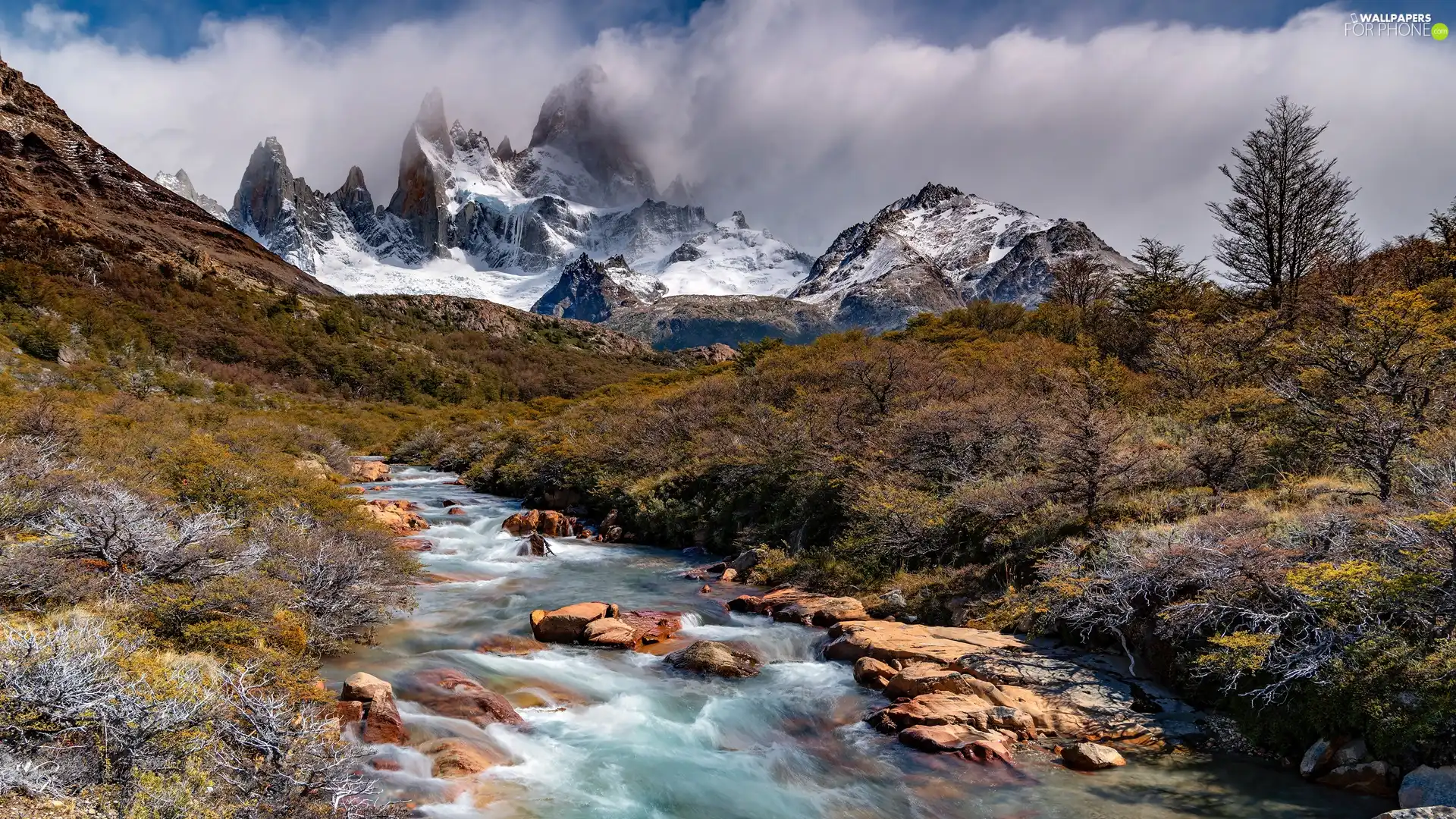 VEGETATION, Fitz Roy Mountain, Stones, Patagonia, trees, Andes