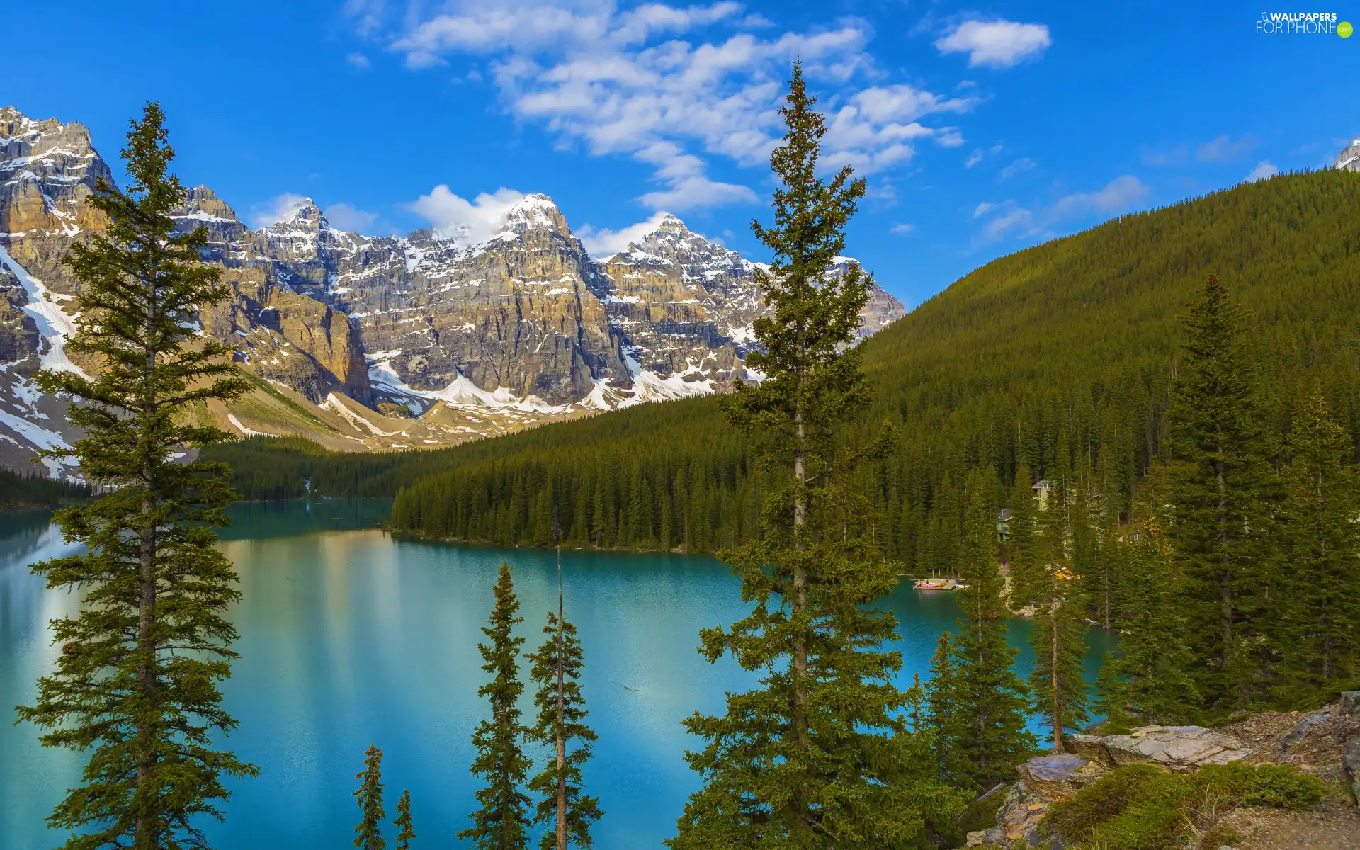 Spruces, lake, forest, Province of Alberta, trees, Mountains, Moraine Lake, Canada, Banff National Park, viewes