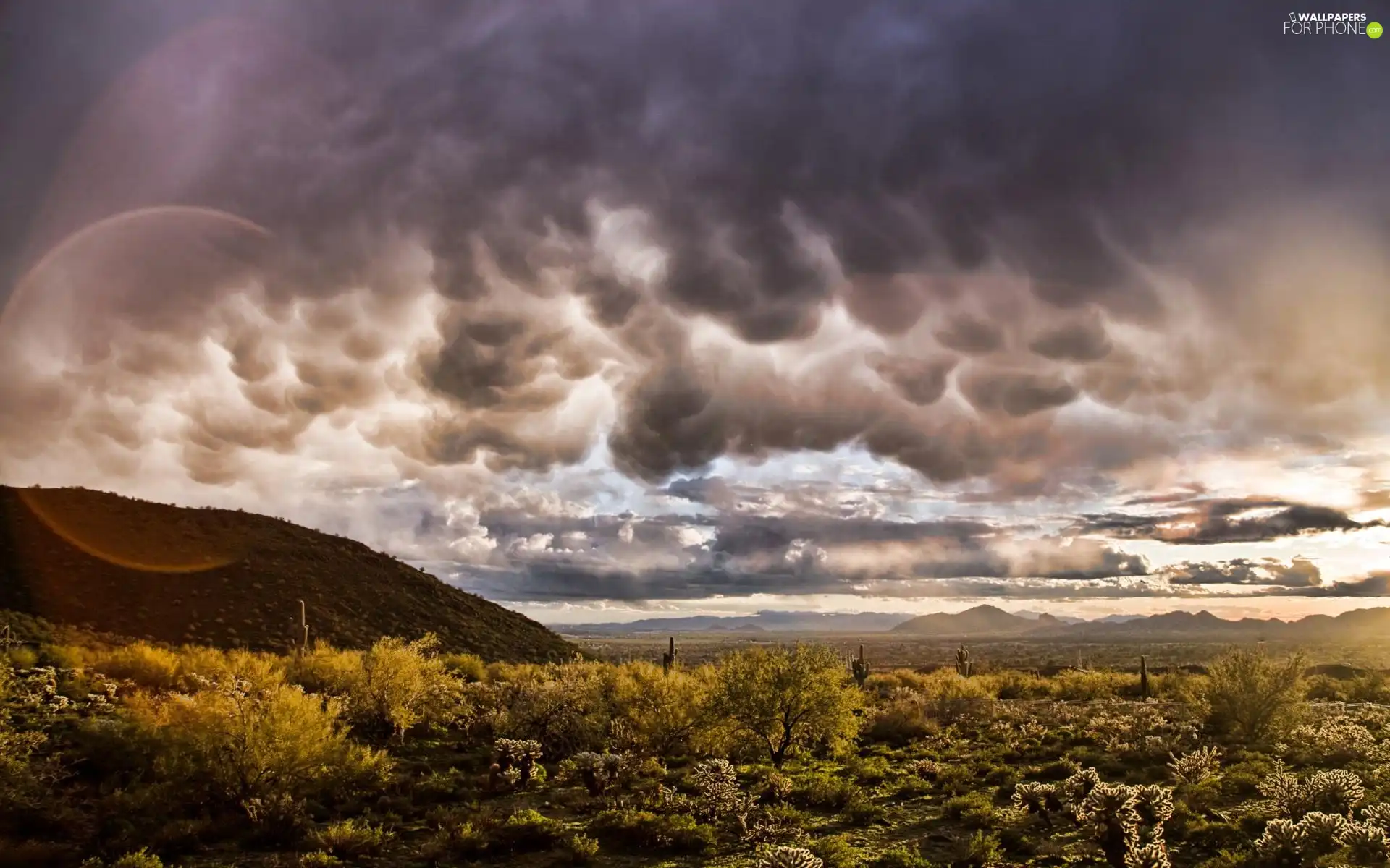 Mountains, clouds, Cactus