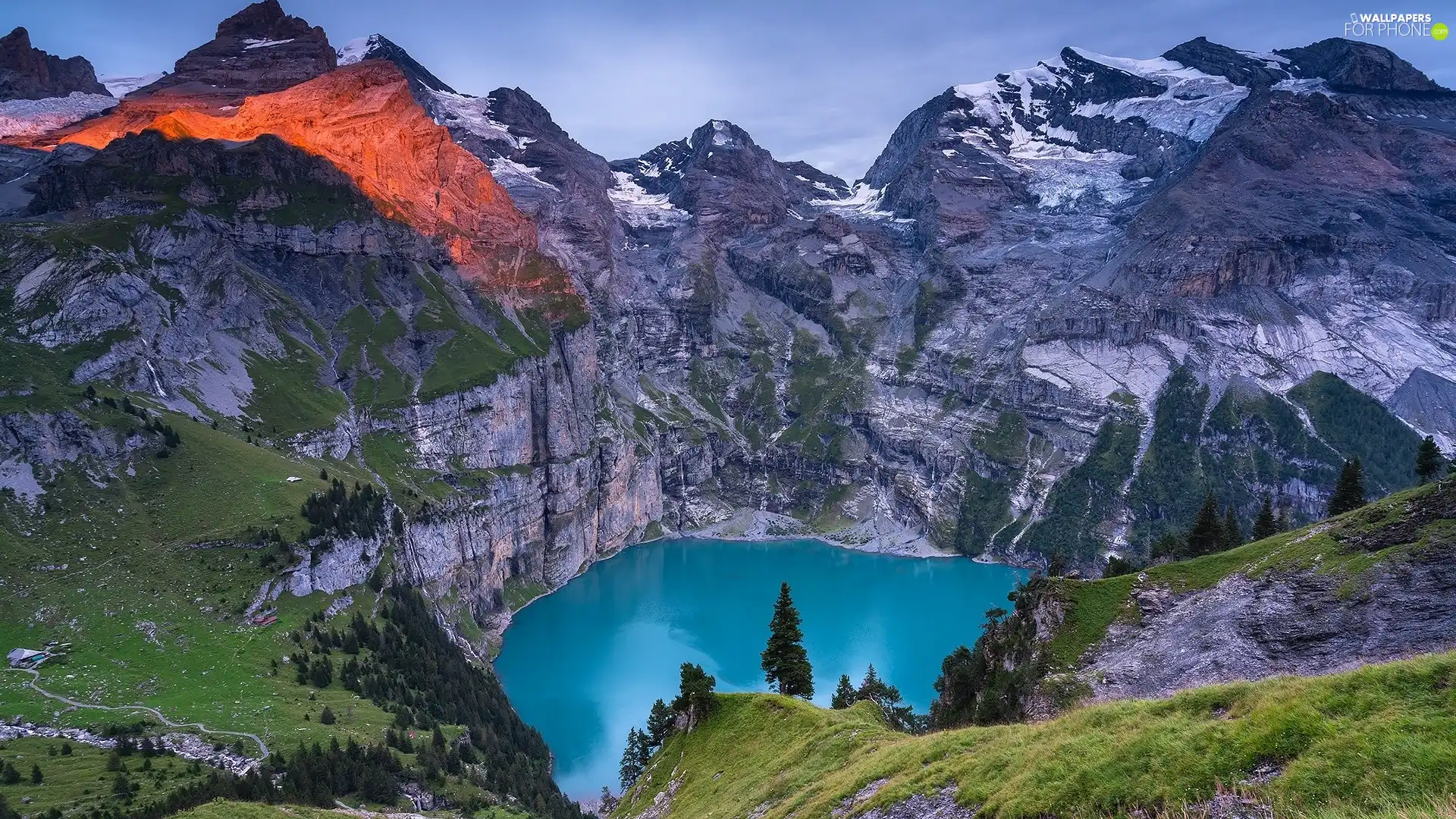 Bernese Alps, Canton of Bern, VEGETATION, Oeschinen Lake, viewes, Mountains, Switzerland, trees