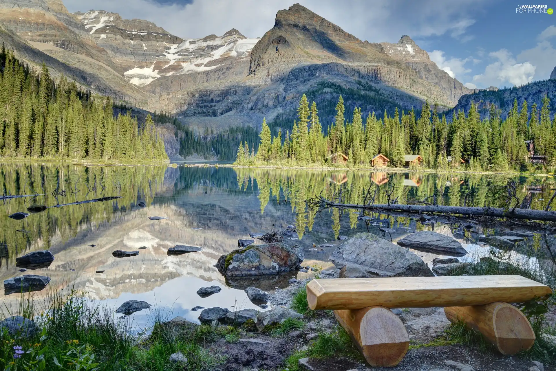 forest, Bench, Mountains, lake
