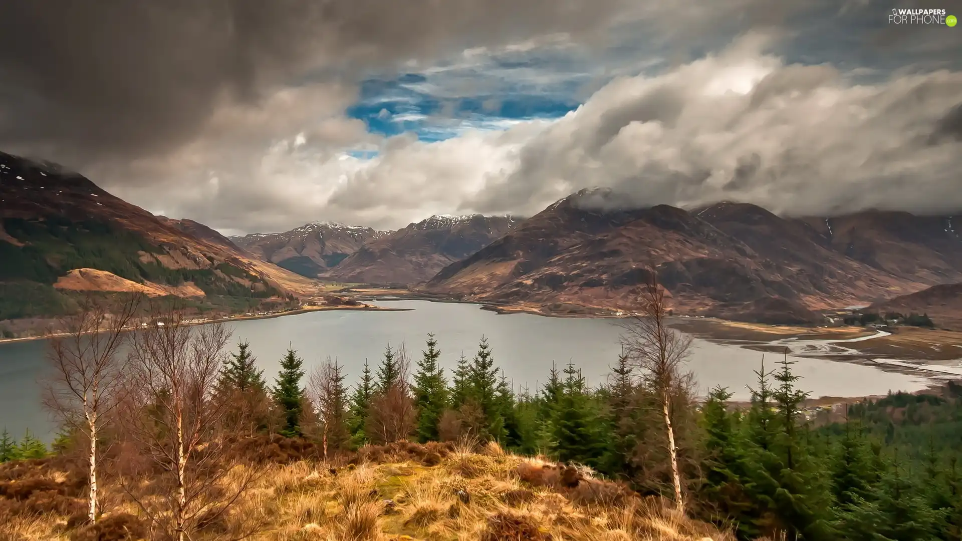 Mountains, lake, forest