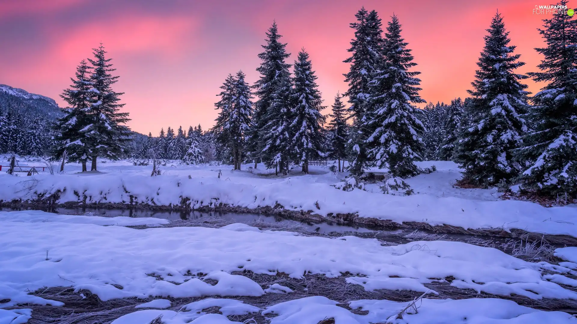 trees, winter, snow, Mountains, viewes, forest