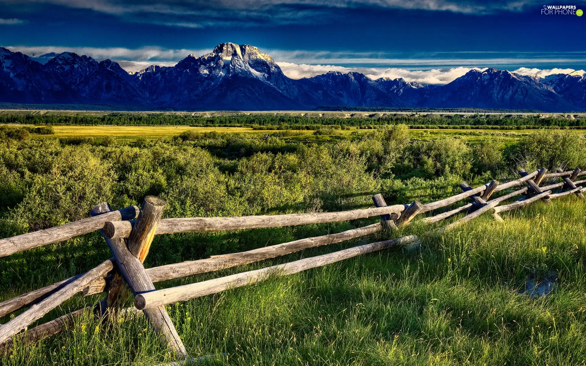 grass, fence, Mountains, Bush