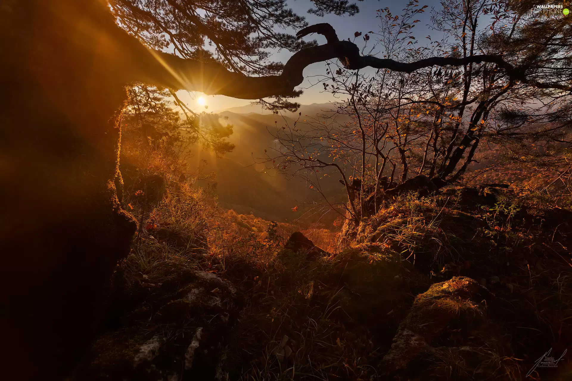Mountains, The Hills, trees, viewes, rays of the Sun