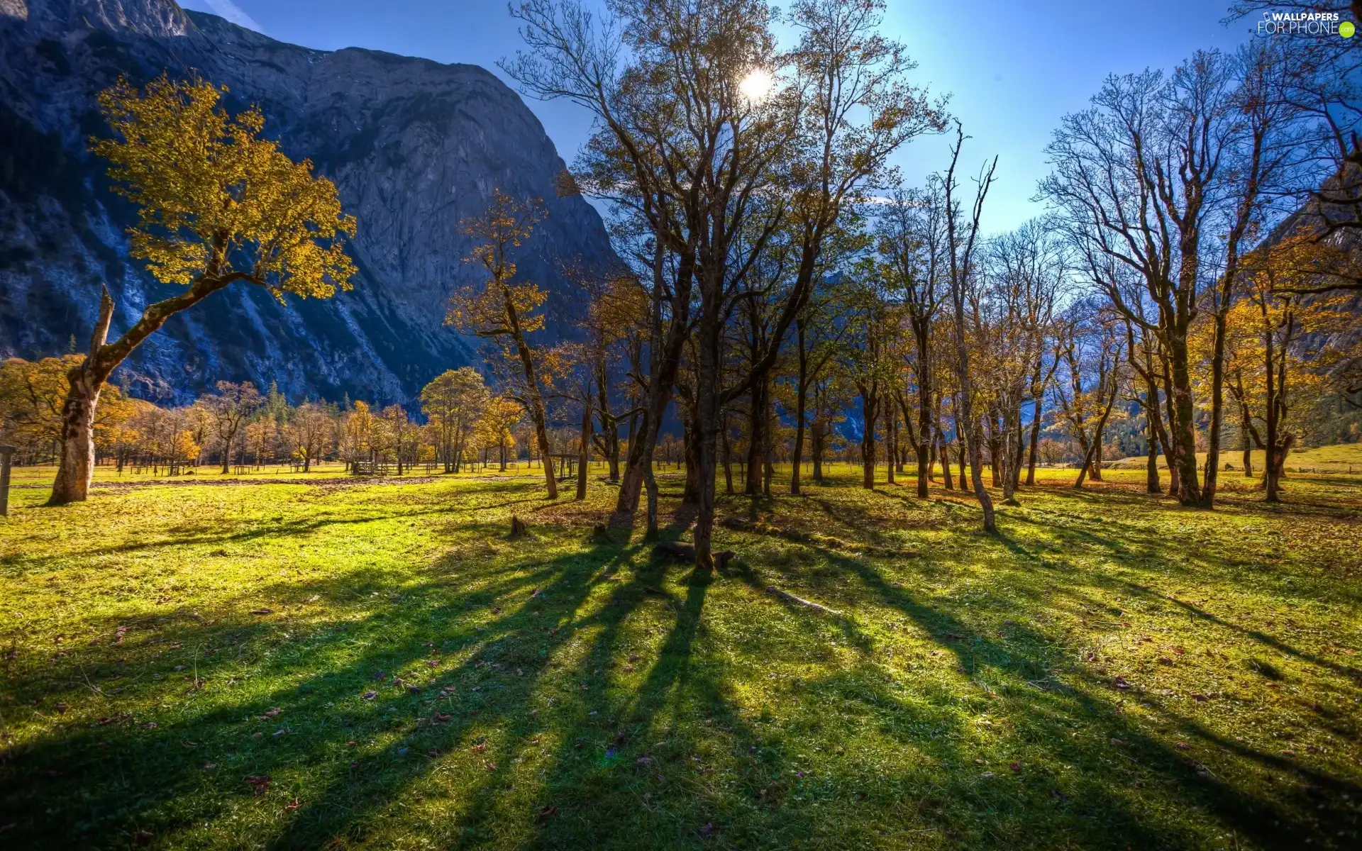 Park, Mountains