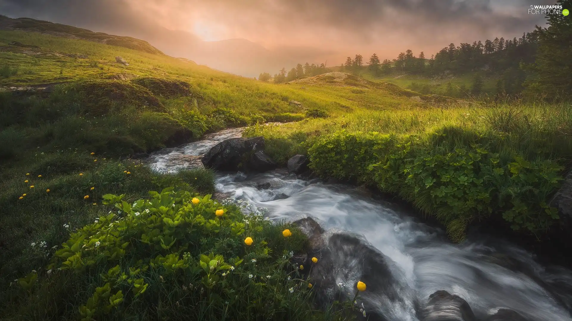 Flowers, River, Hazy, Mountains, Meadow, Plants