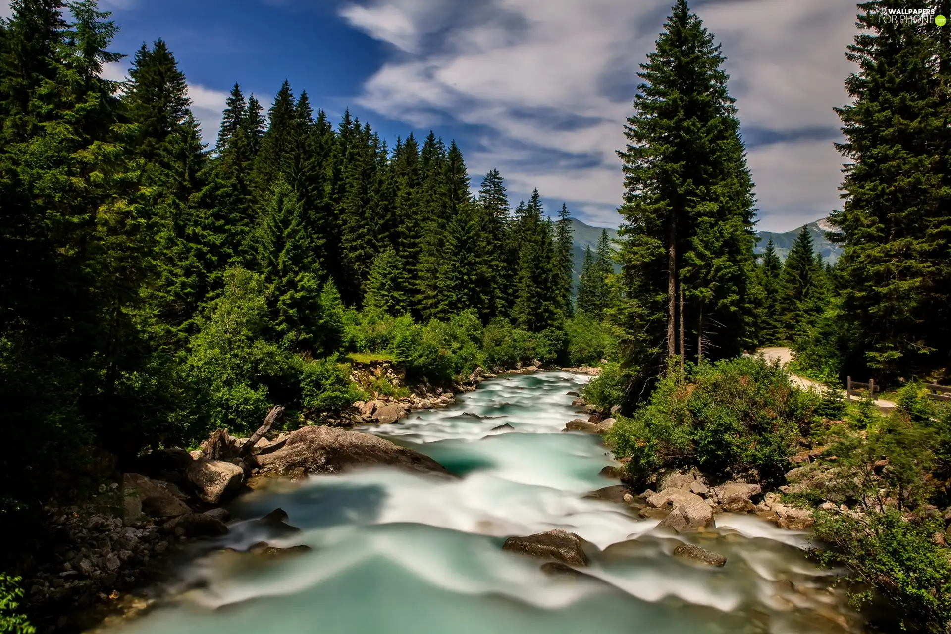 Mountains, forest, River
