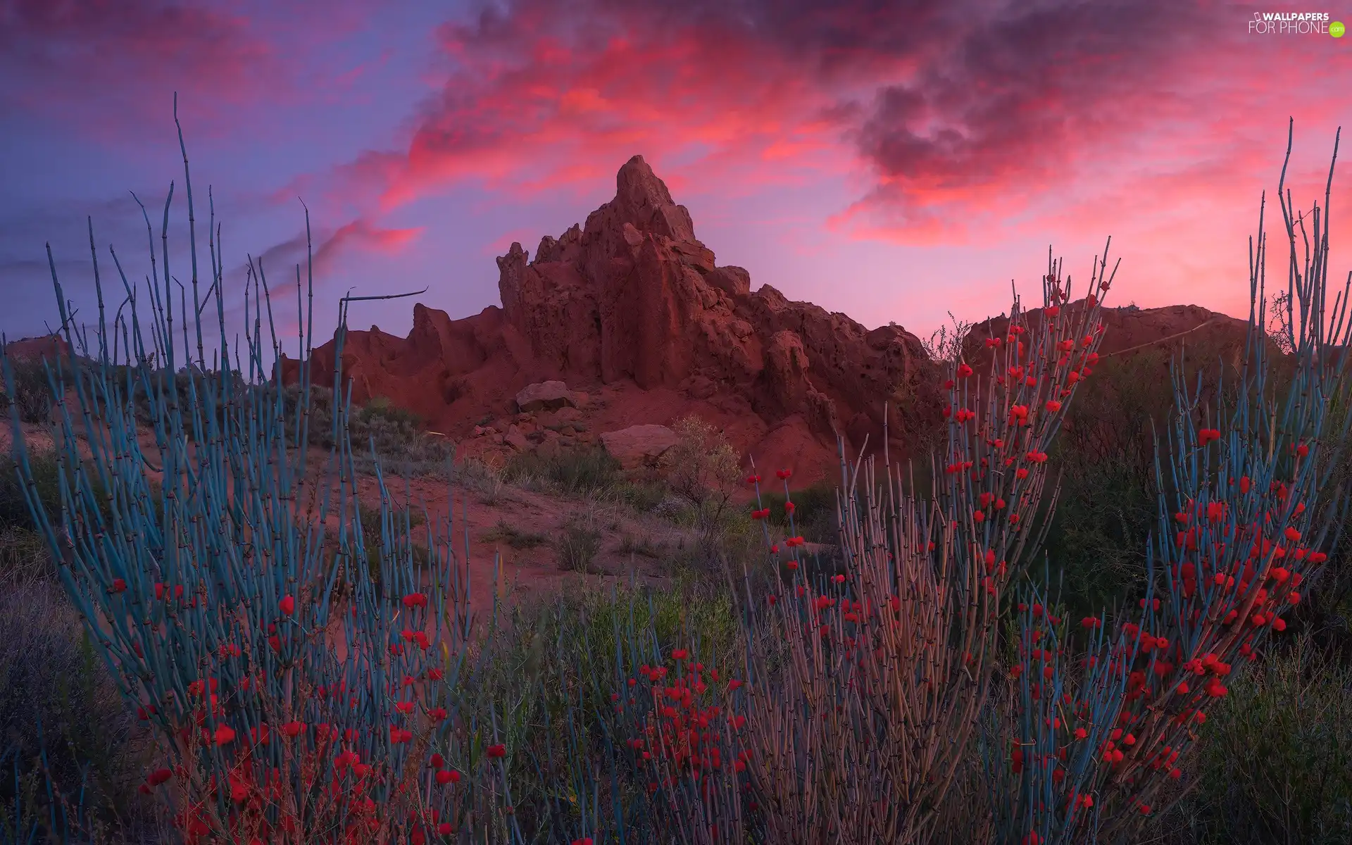 Great Sunsets, Kyrgyzstan, Mountains, VEGETATION, rocks