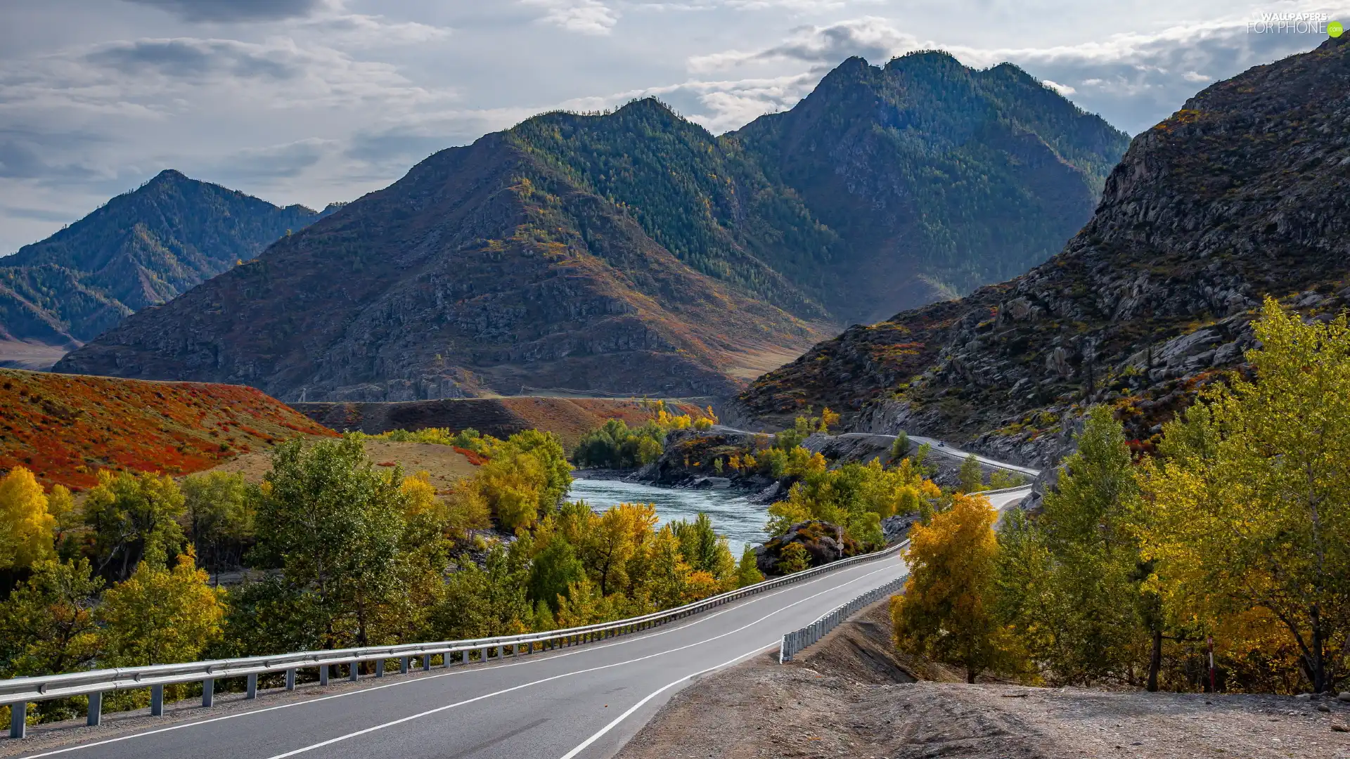 autumn, trees, Russia, viewes, Altai, Way, River, Mountains