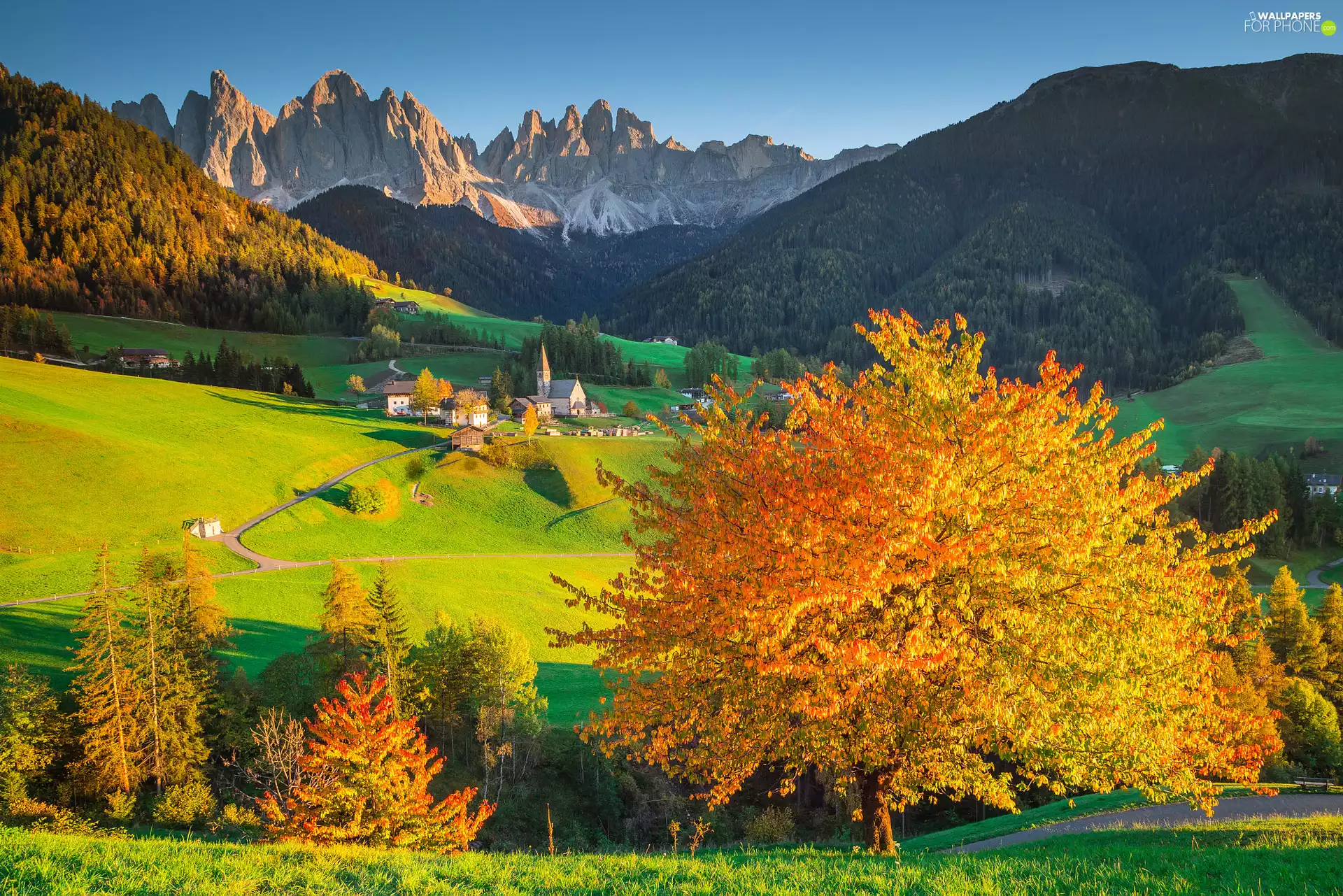 Village of Santa Maddalena, Italy, Mountains, autumn, woods, Church, viewes, Val di Funes Valley, Dolomites, trees, Massif Odle