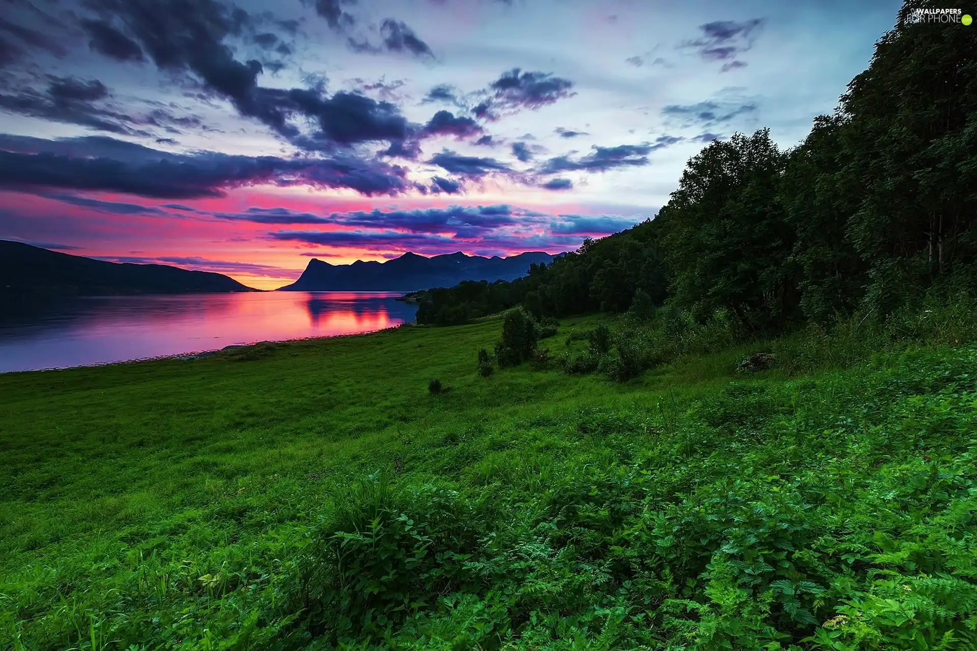 Mountains, Sky, sun, green, west